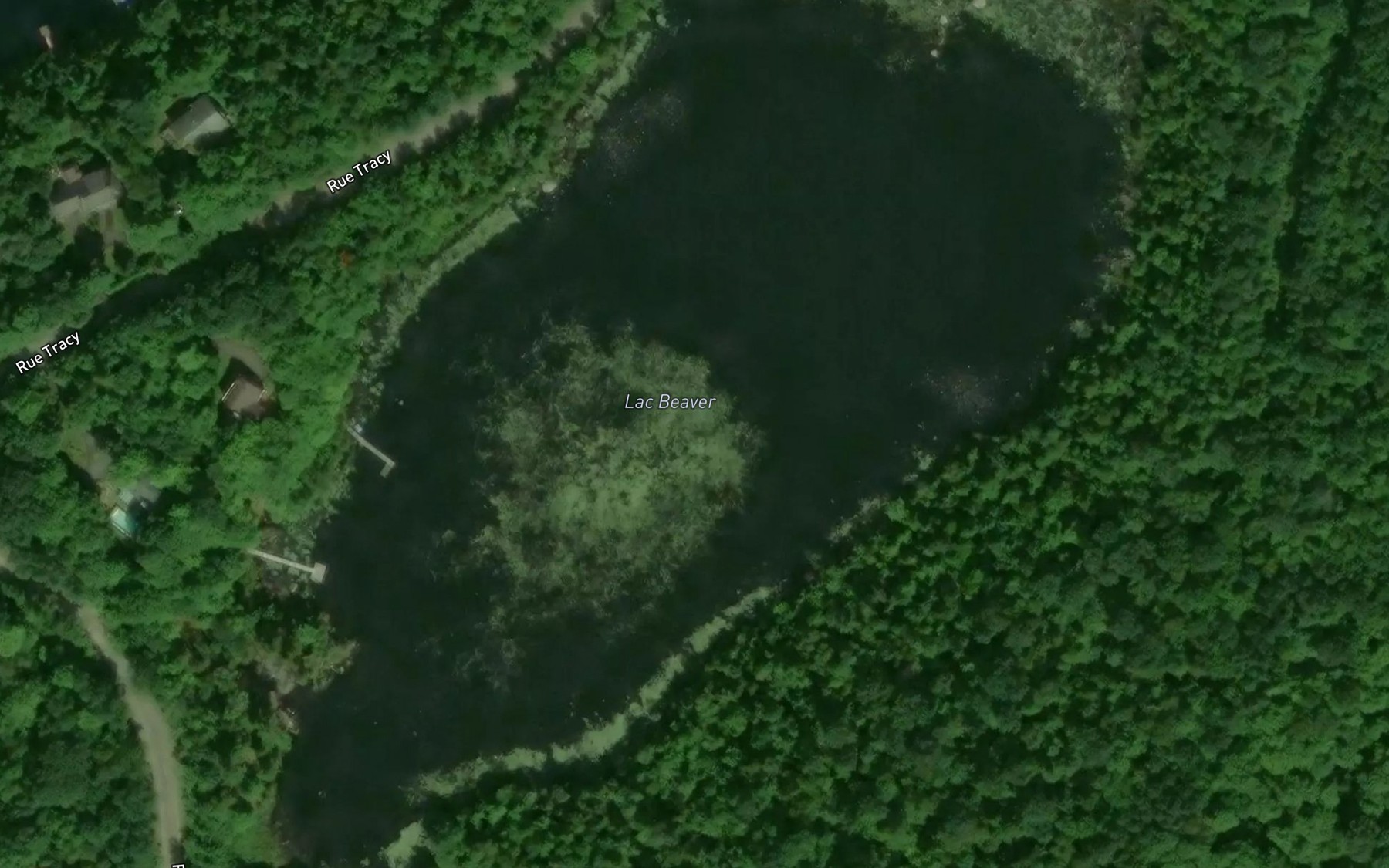 Satellite map of the Lac Beaver