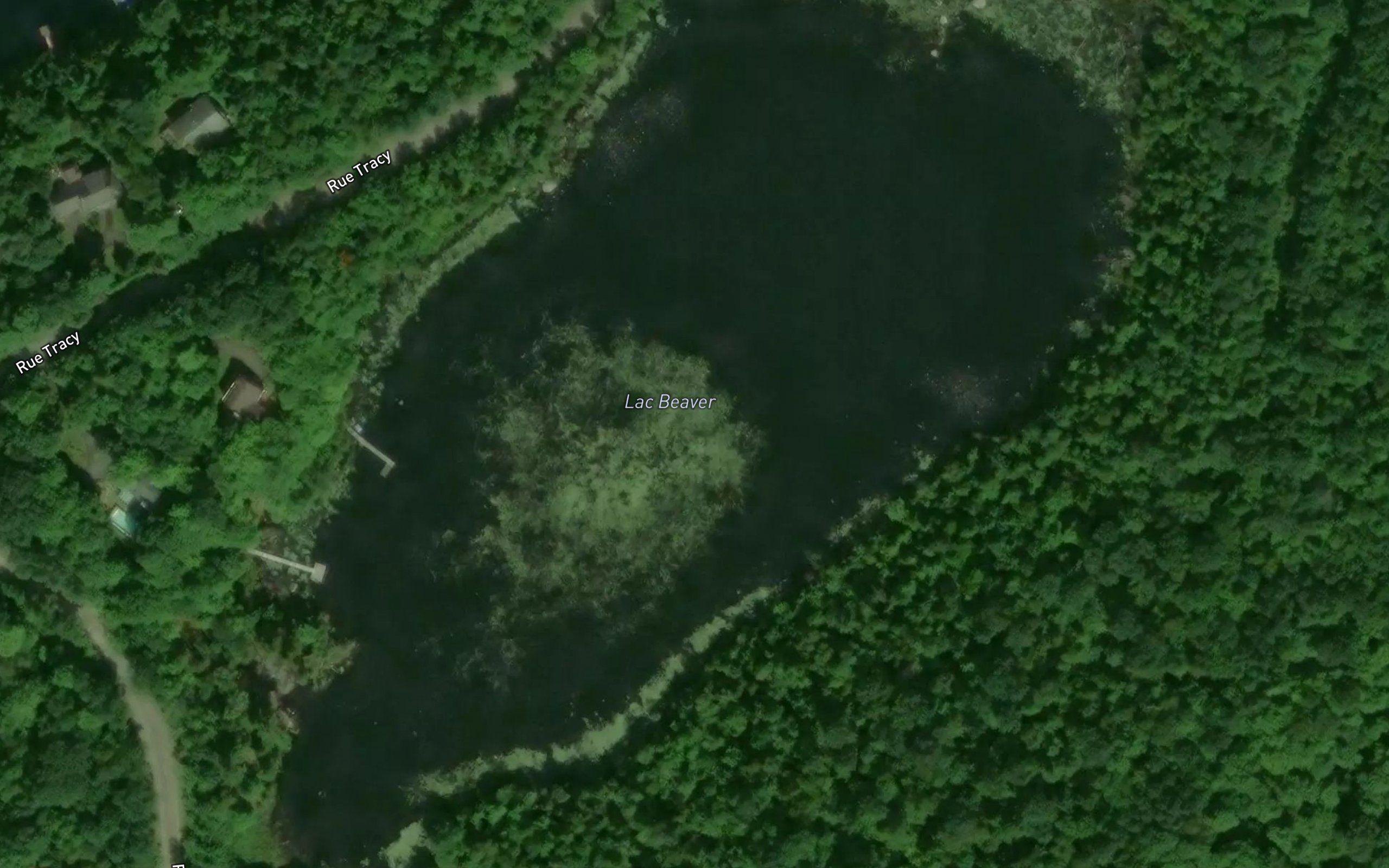 Lac Beaver