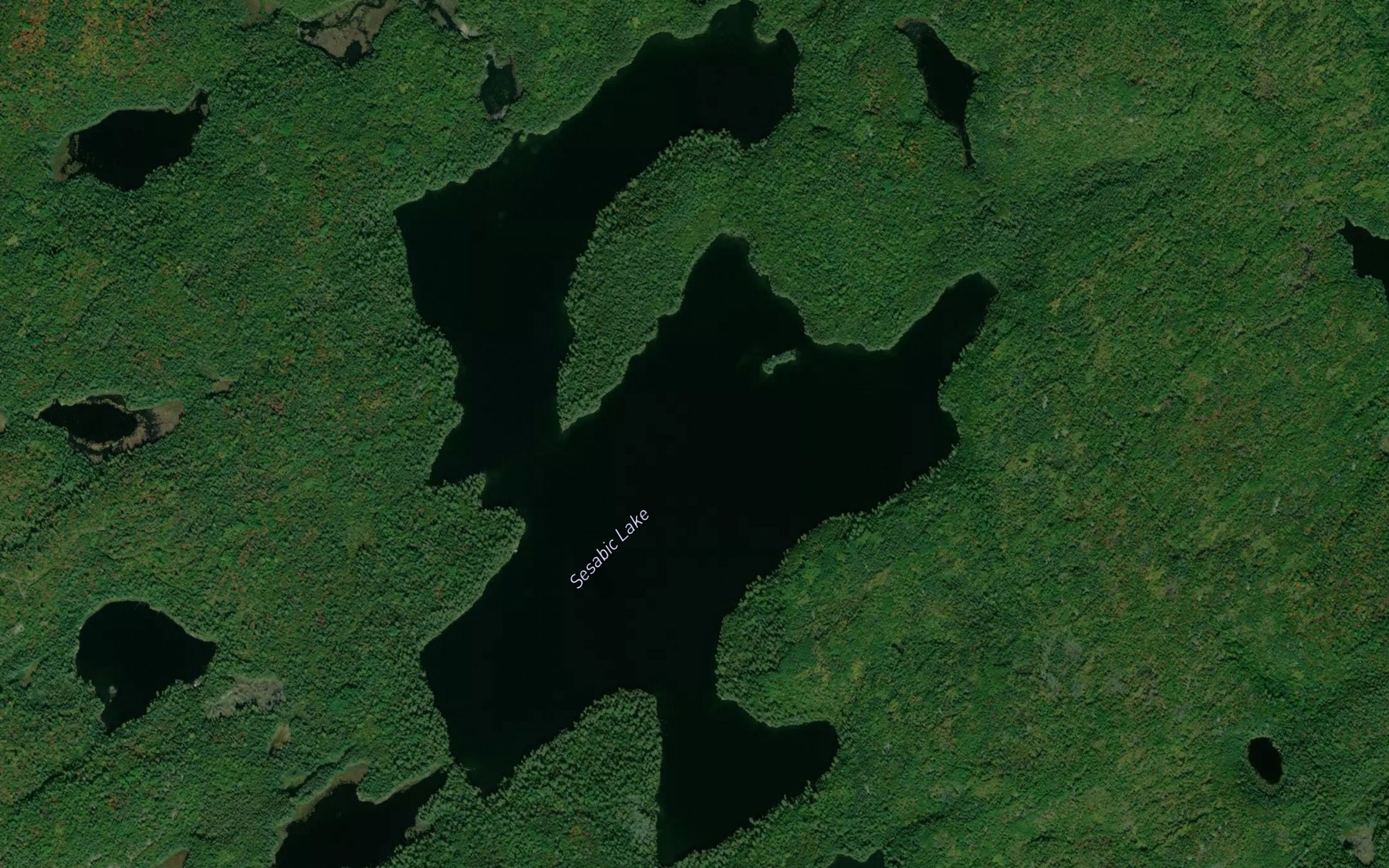 Satellite map of the Sesabic Lake