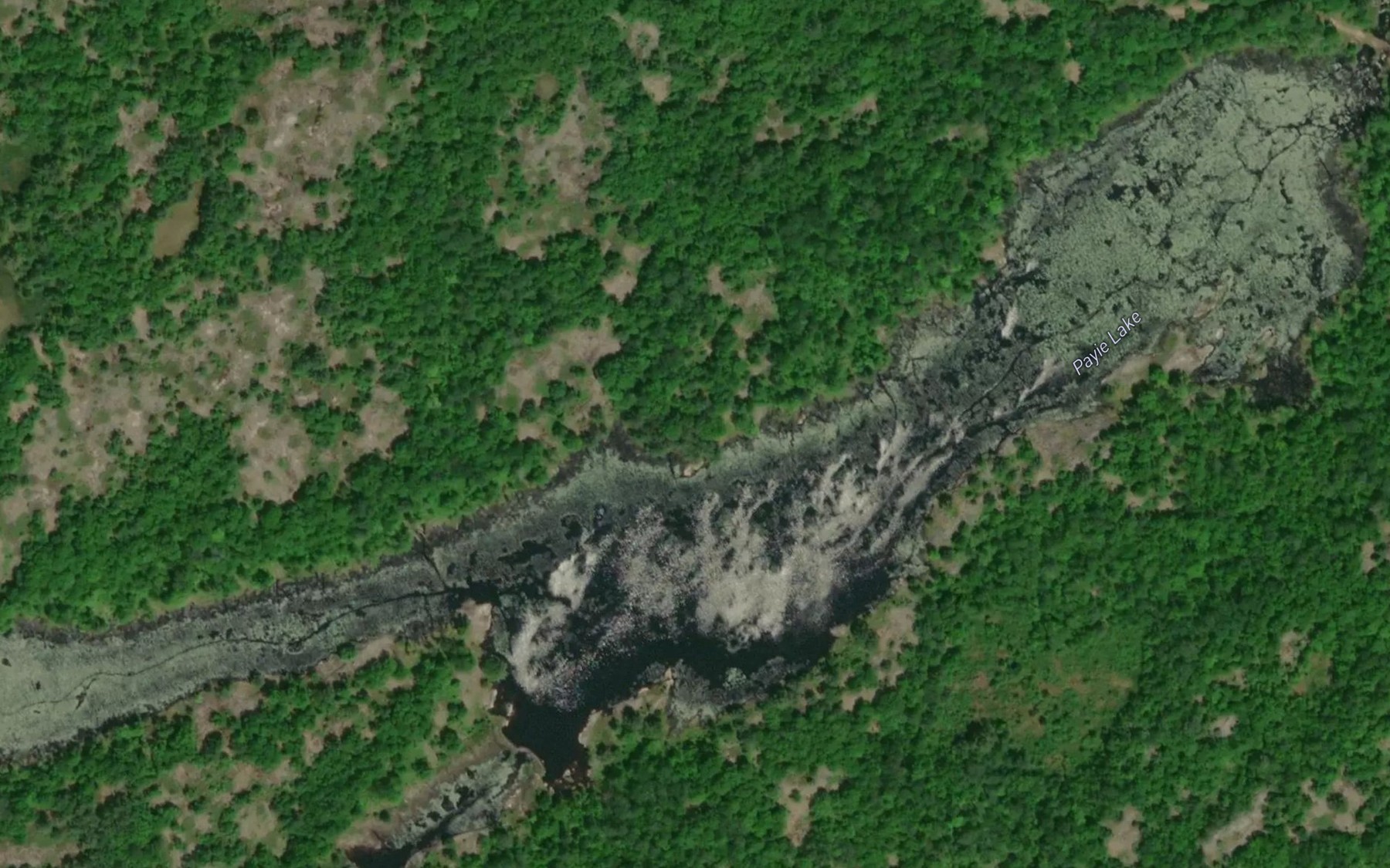 Satellite map of the Payie Lake