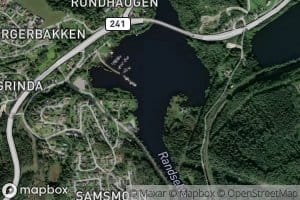 Bergetjernet