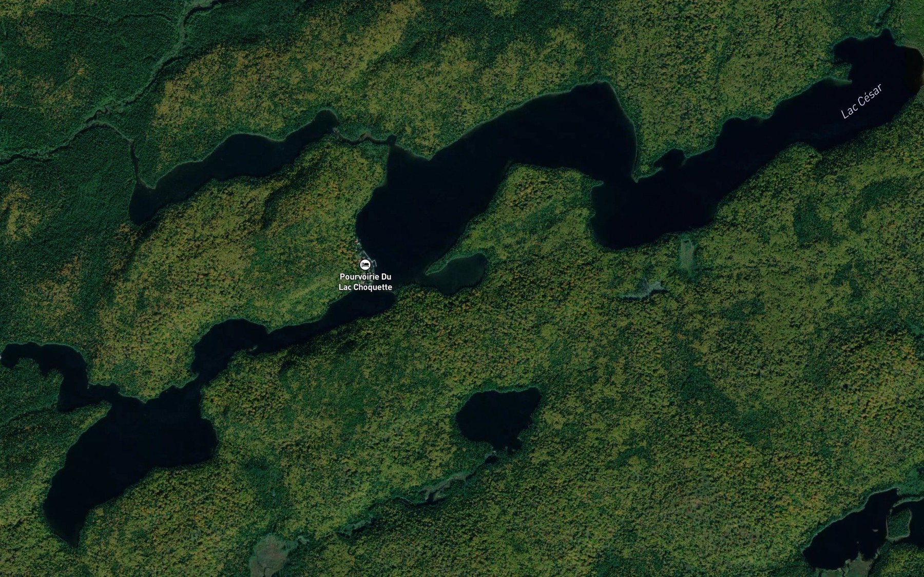 Satellite map of the Lac Cesar