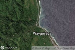 Wai Goyeya