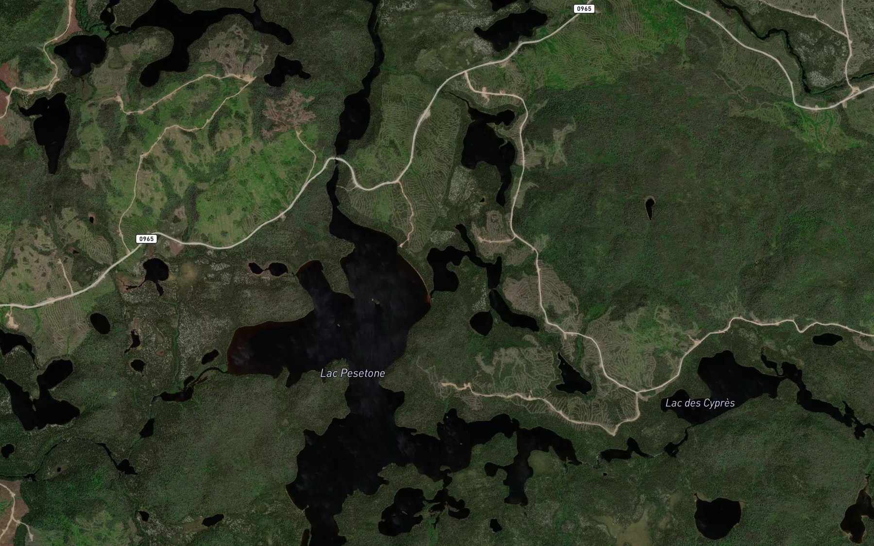 Satellite map of the Lac Rejean