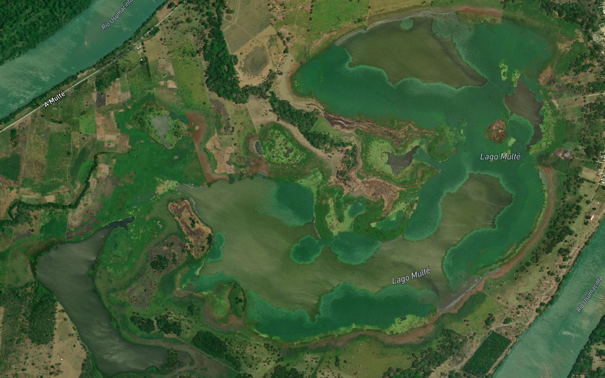 Laguna Multe
