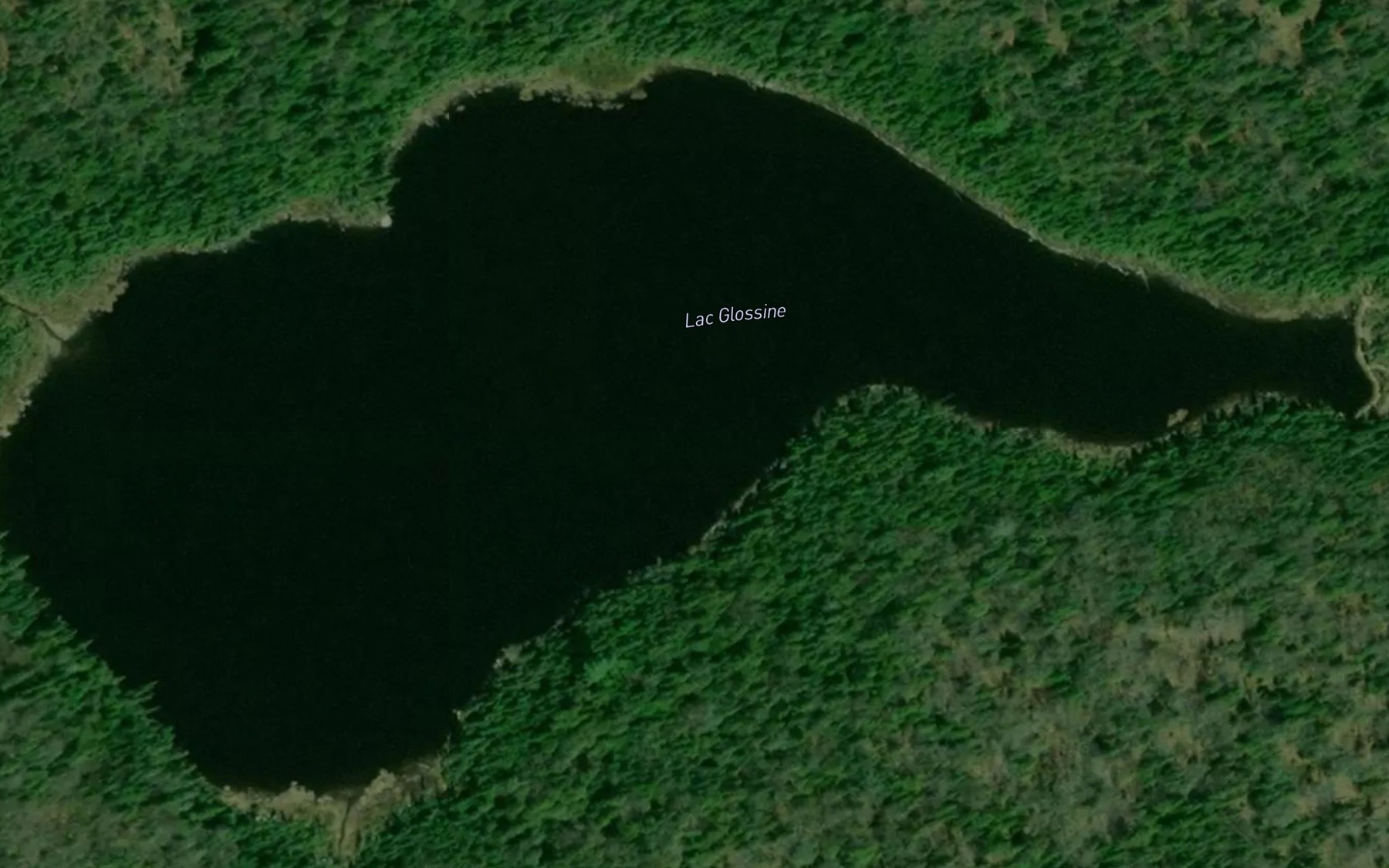 Satellite map of the Lac Glossine