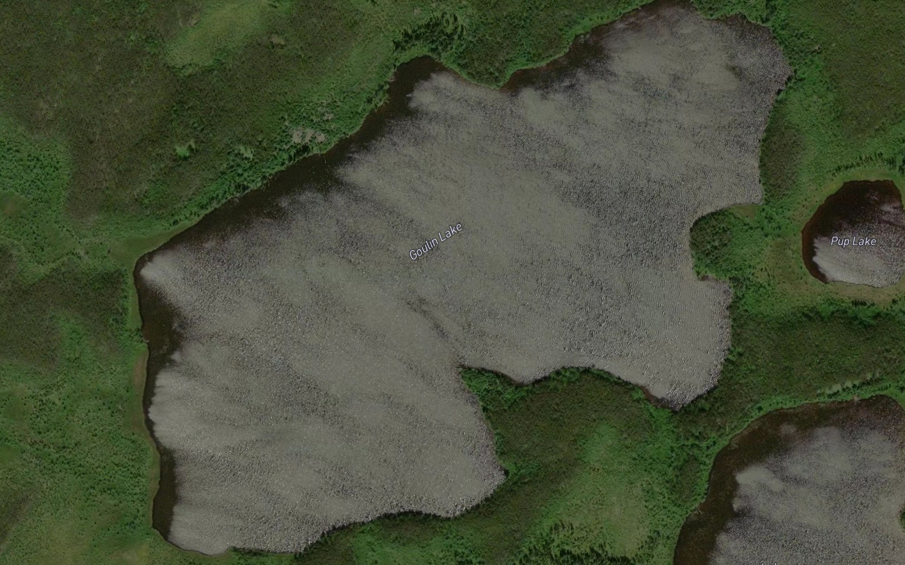 Satellite map of the Goulin Lake