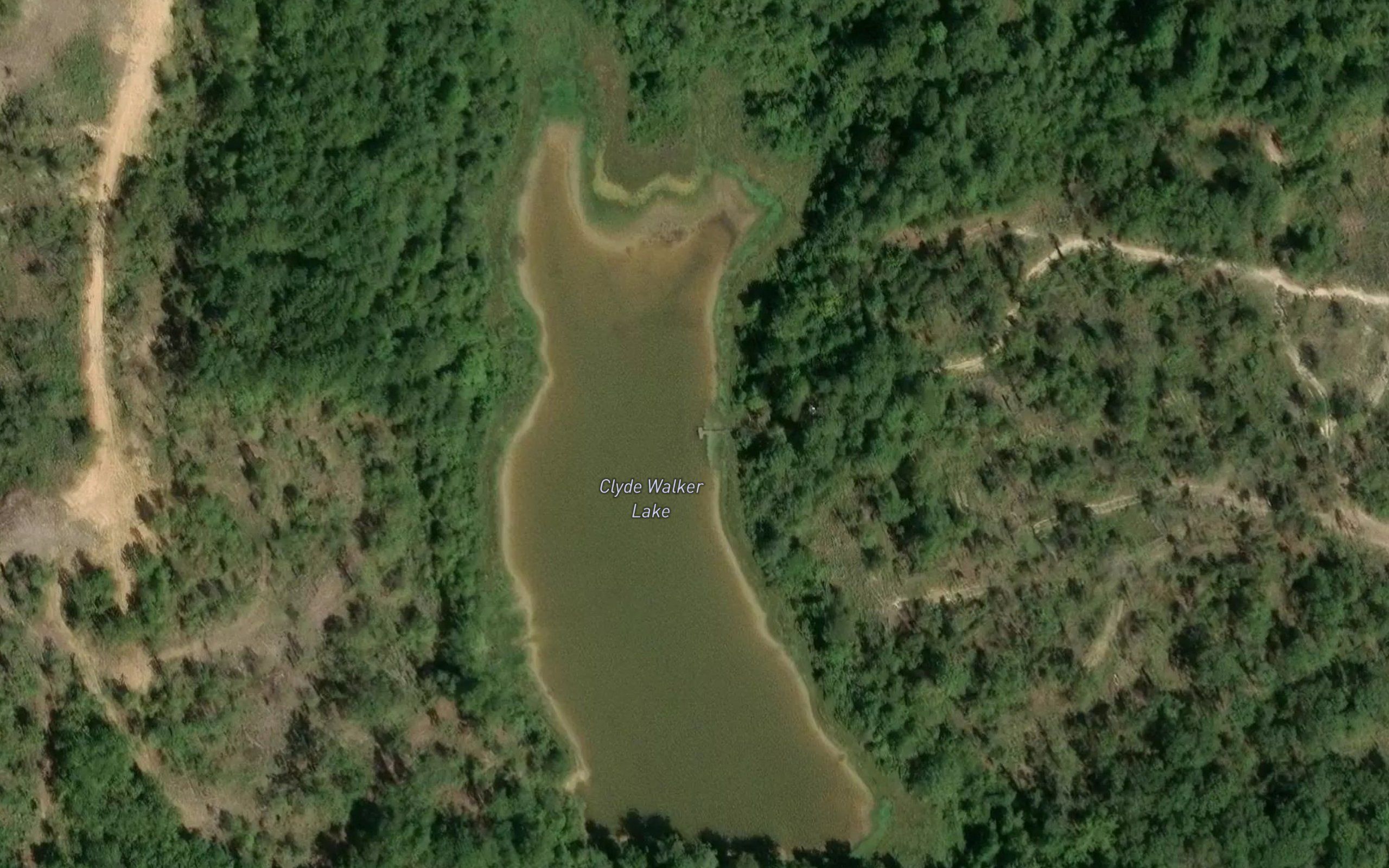 Walker Lake