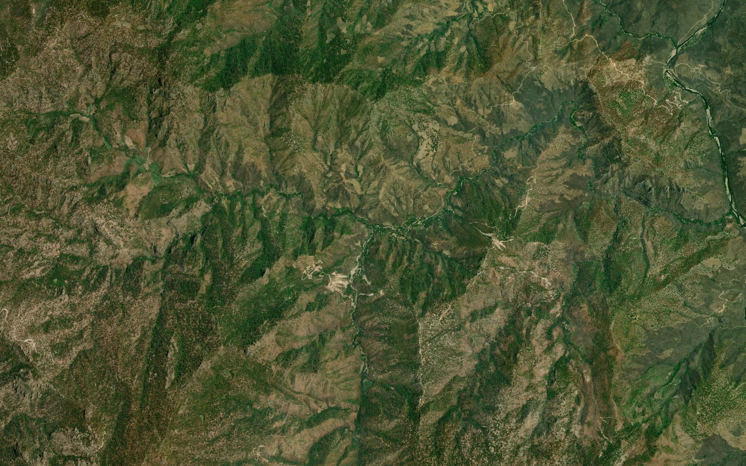 Arroyo el Saucito