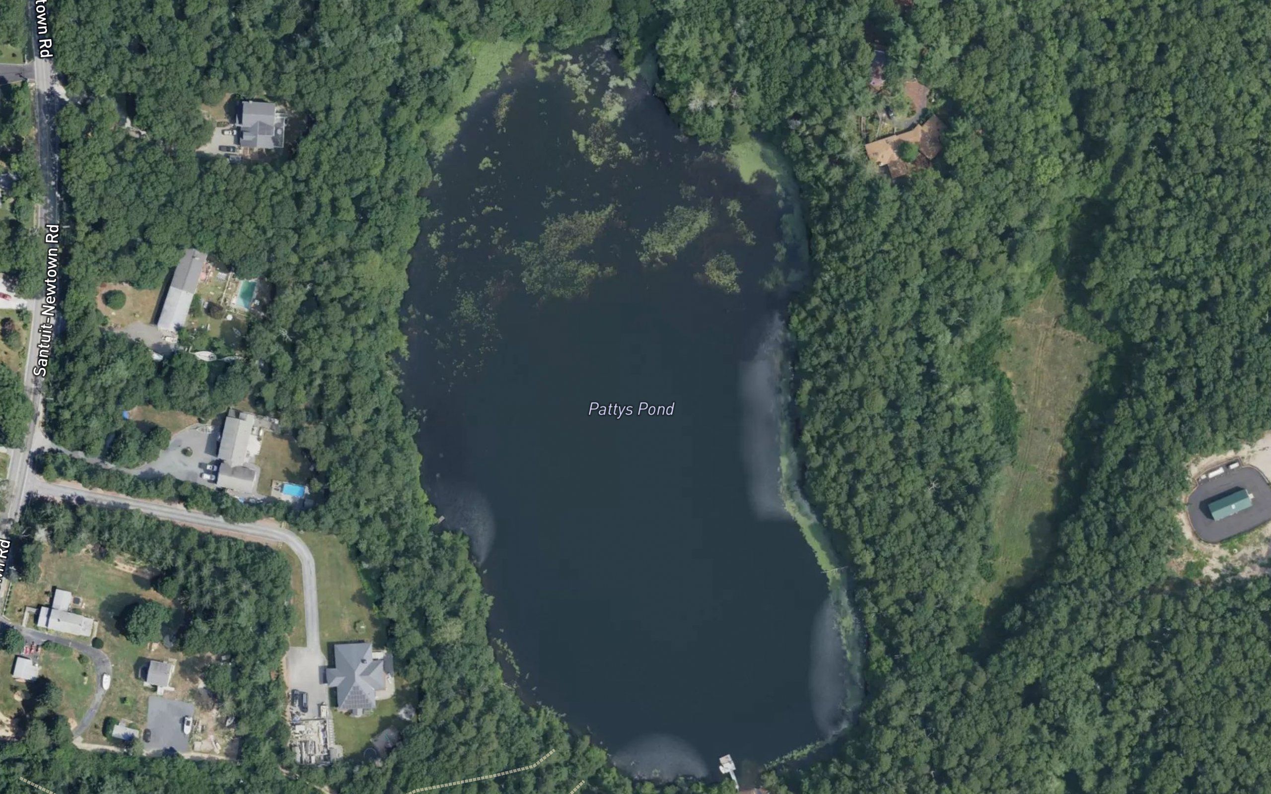 Pattys Pond
