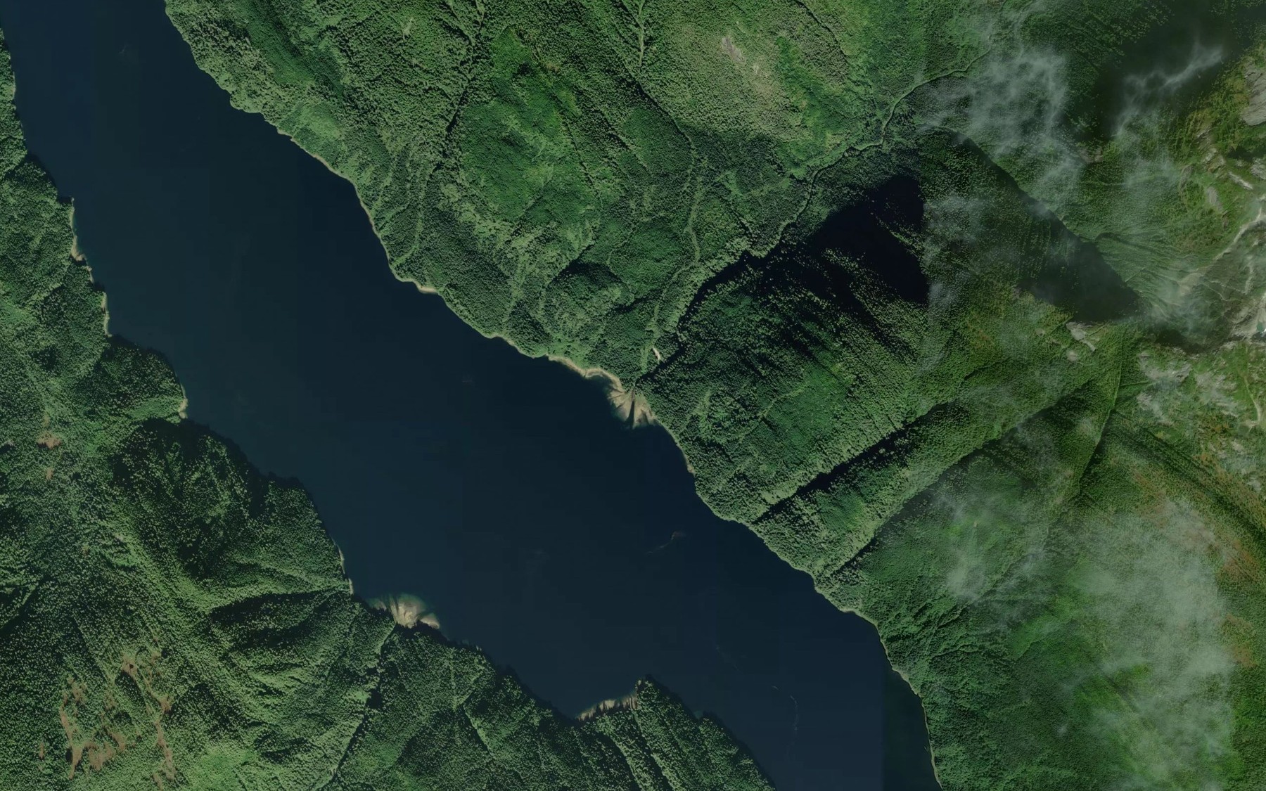 Satellite map of the Mouse Creek