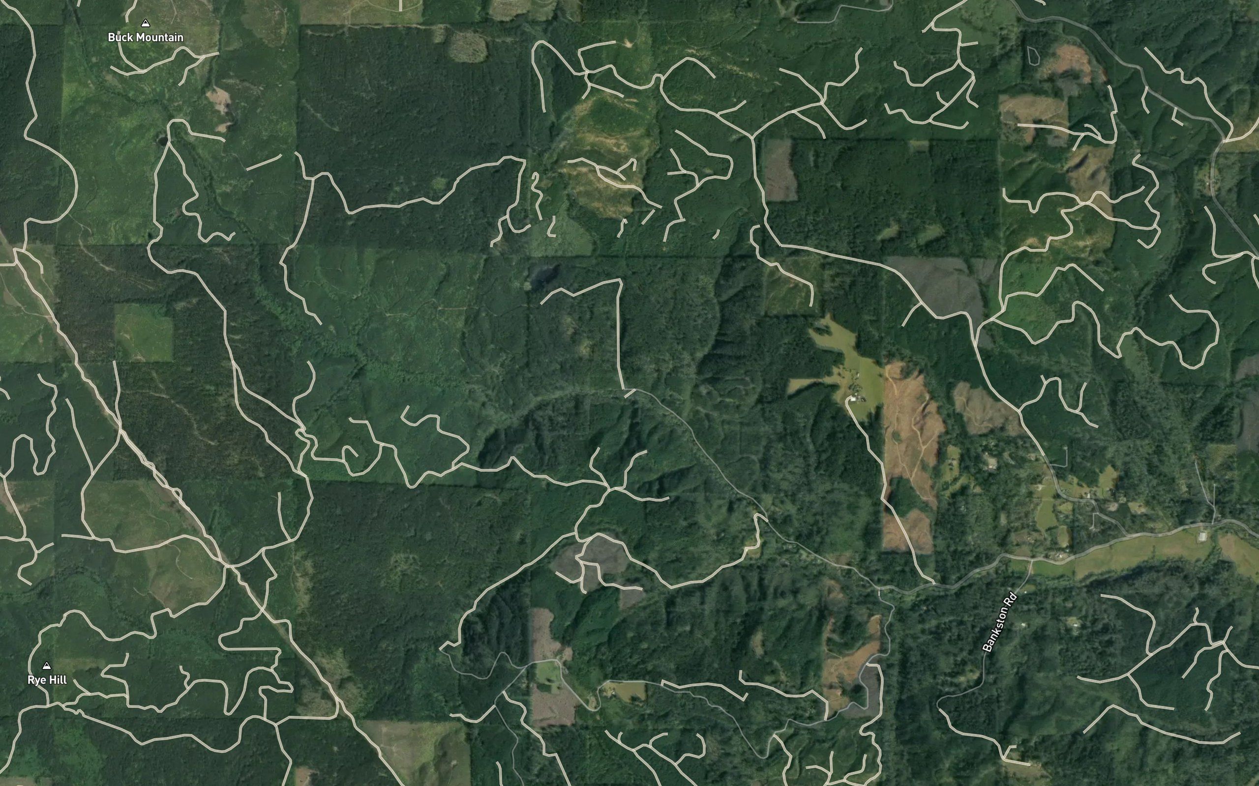 McLafferty Creek