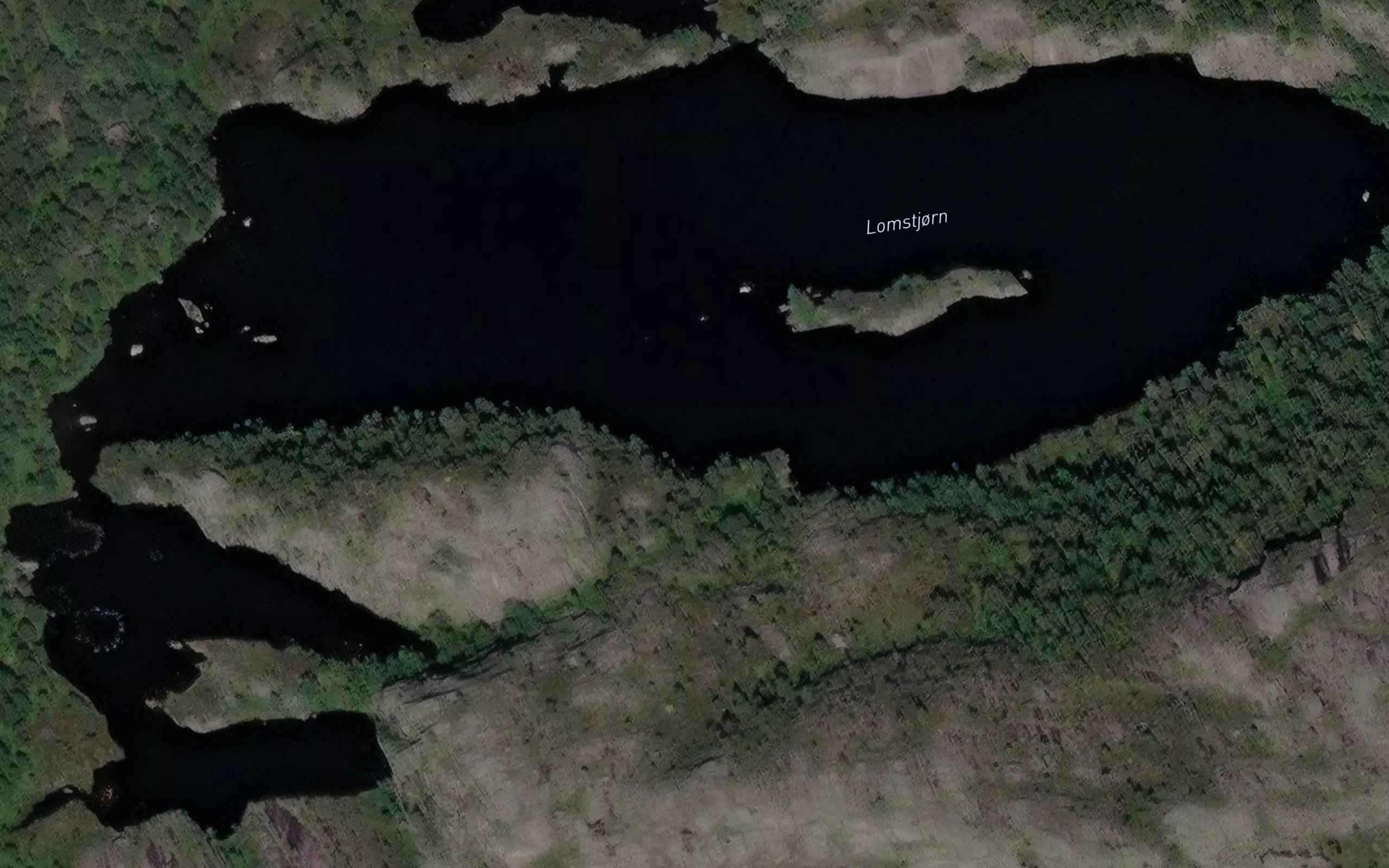 Lomstjorn