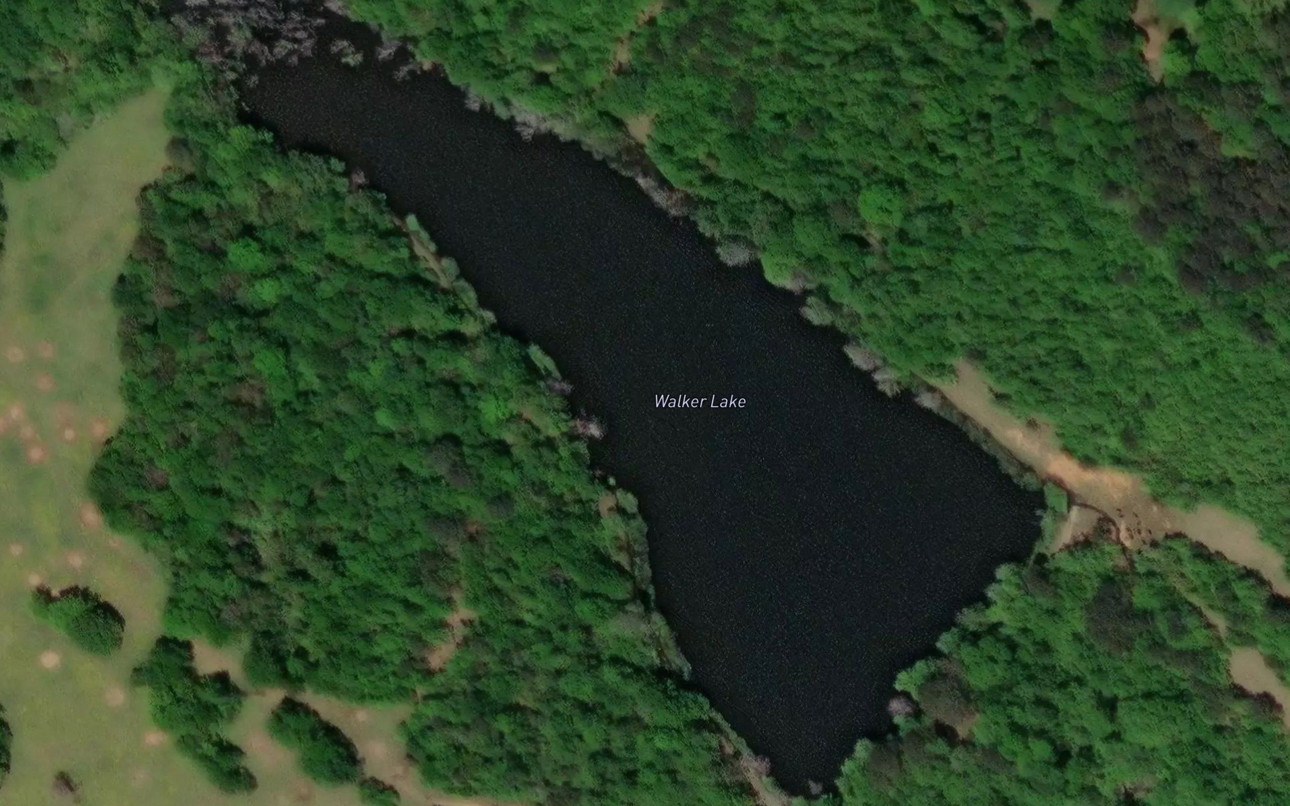 Walker Lake