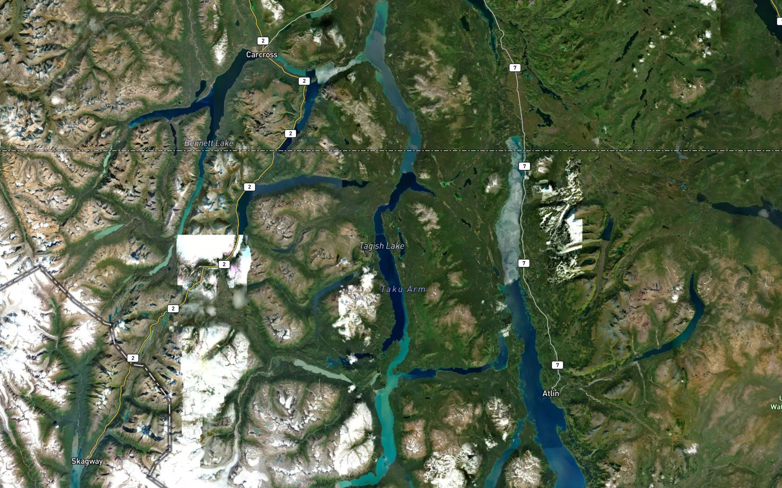 Tagish Lake