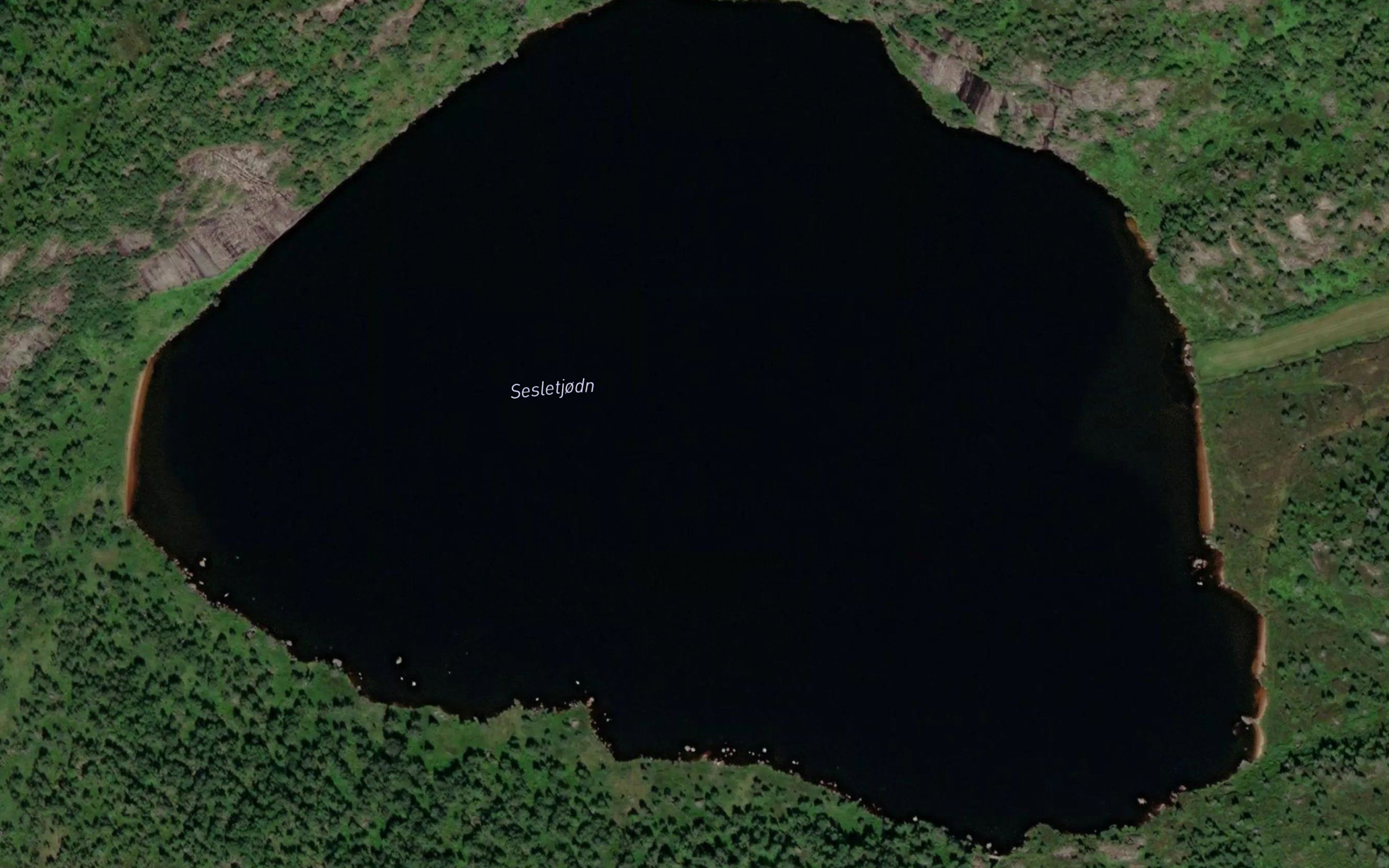 Sesletjorn