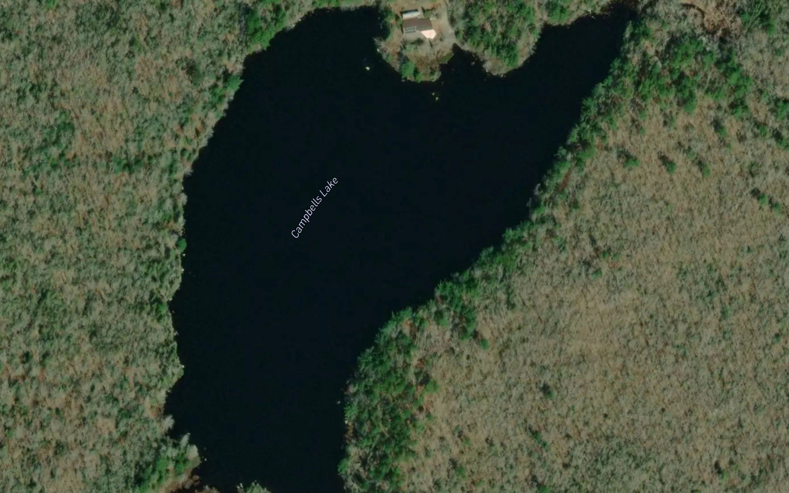 Campbells Lake