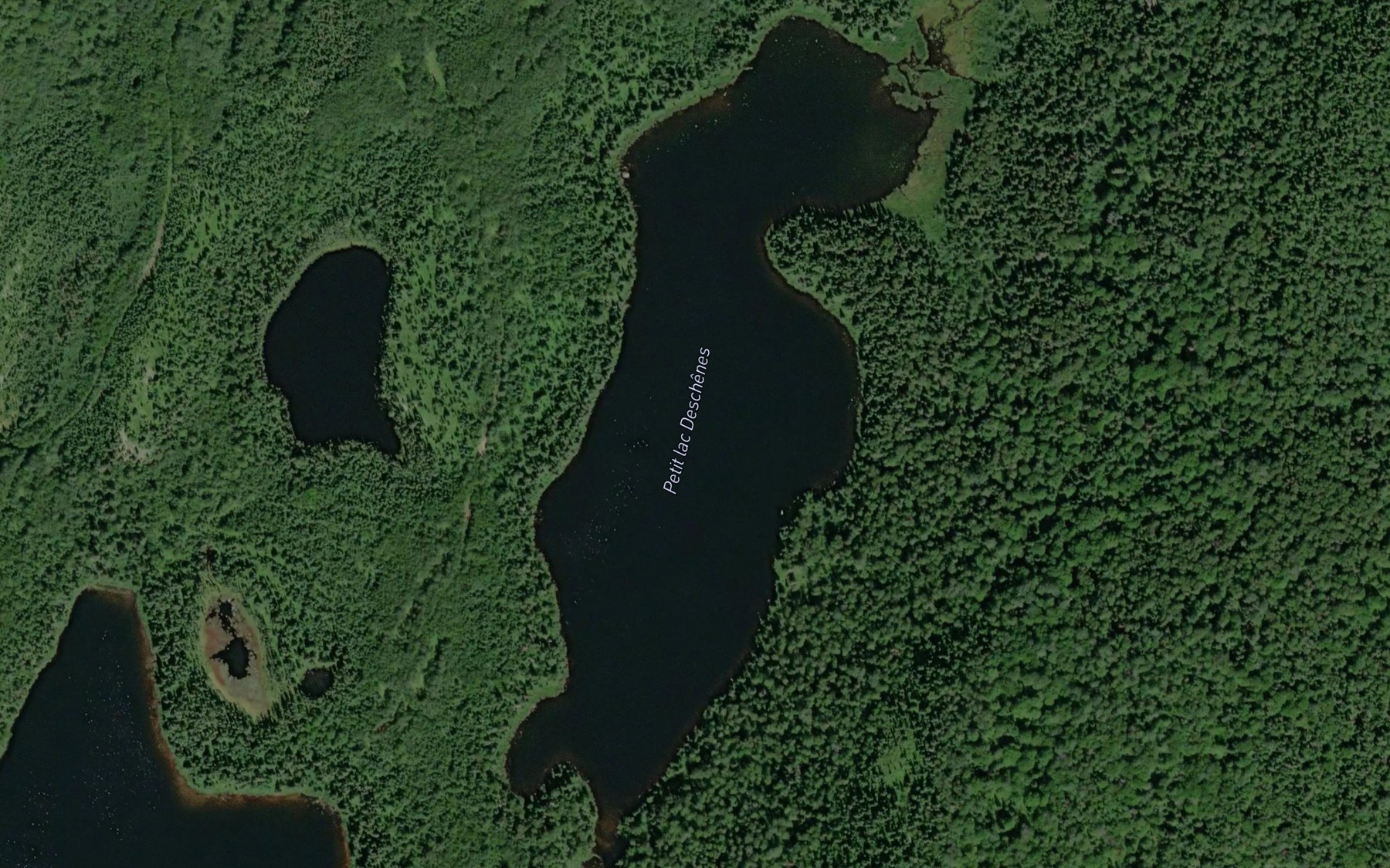 Satellite map of the Petit lac Deschenes