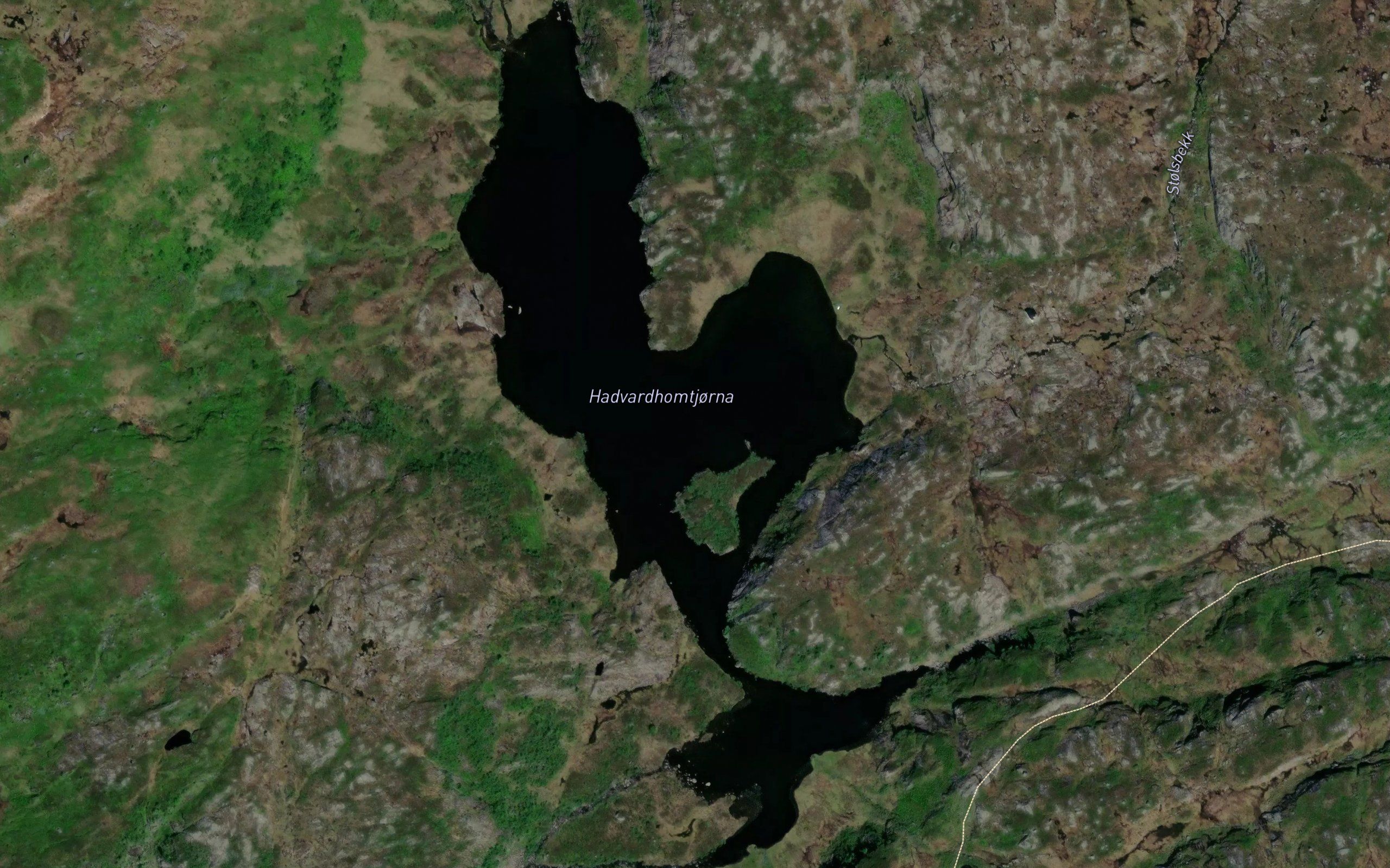 Hadvardshomtjorna