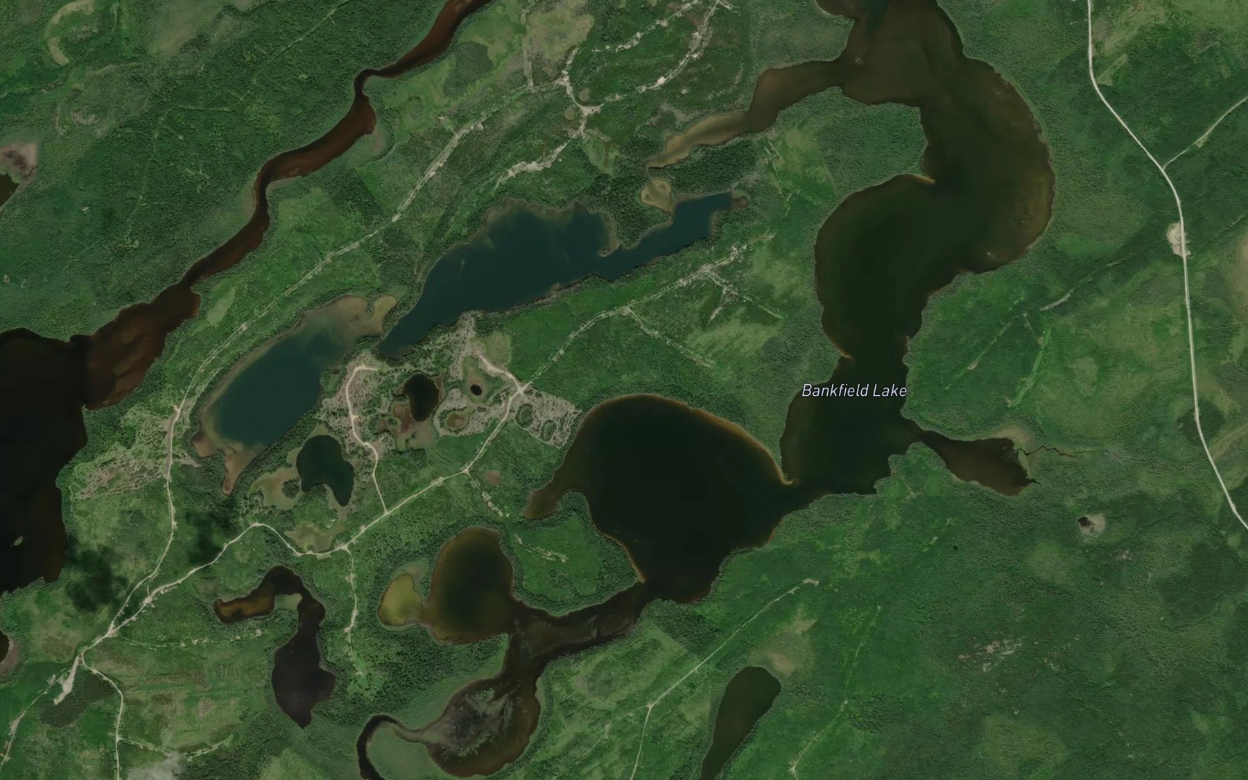 Satellite map of the Bankfield Lake