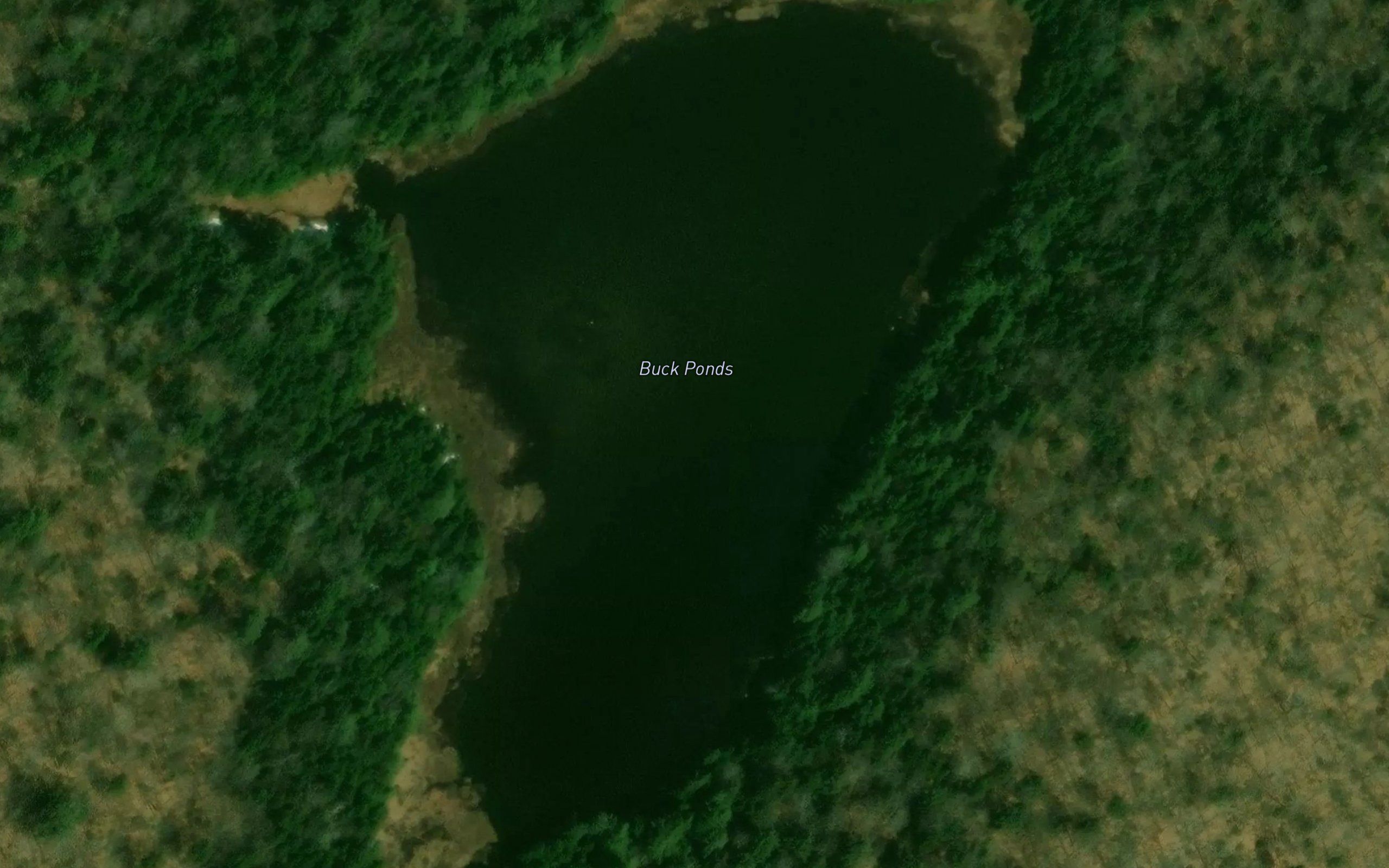 Buck Ponds