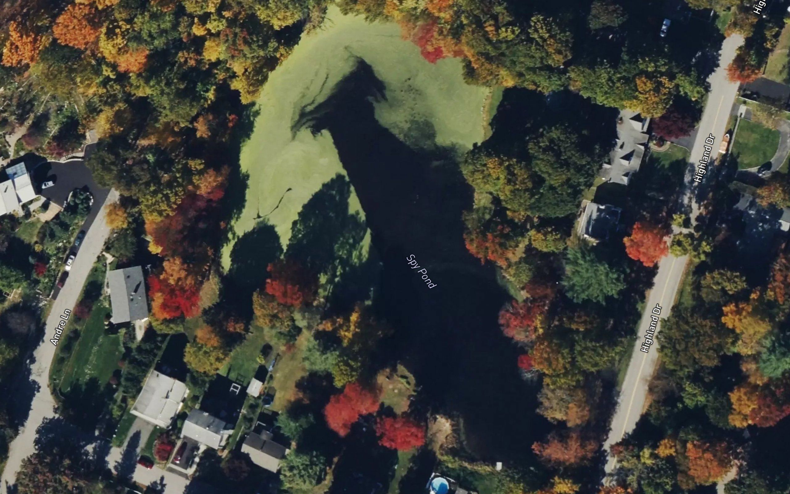 Spy Pond