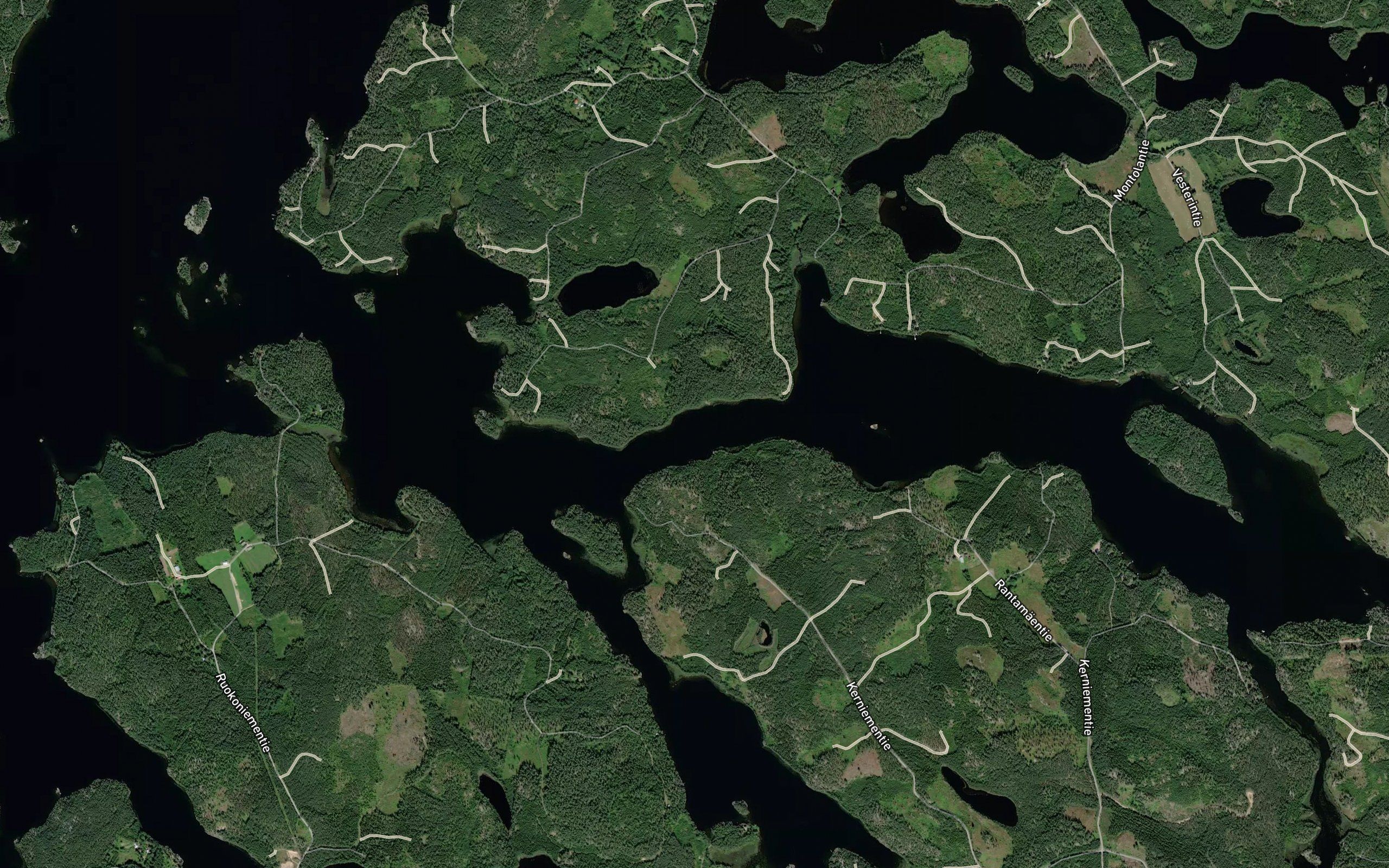 Heposalmi