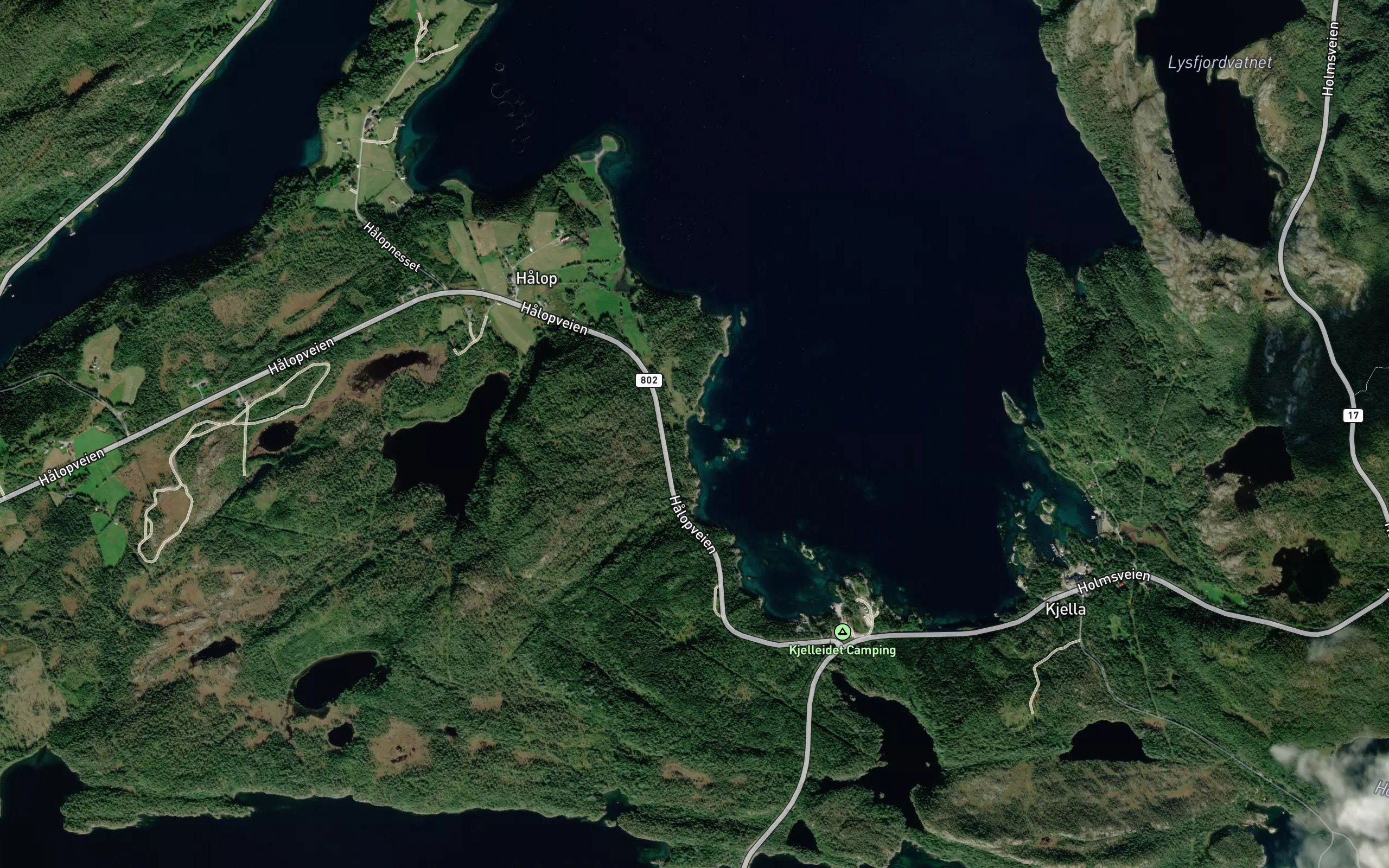Naustvika