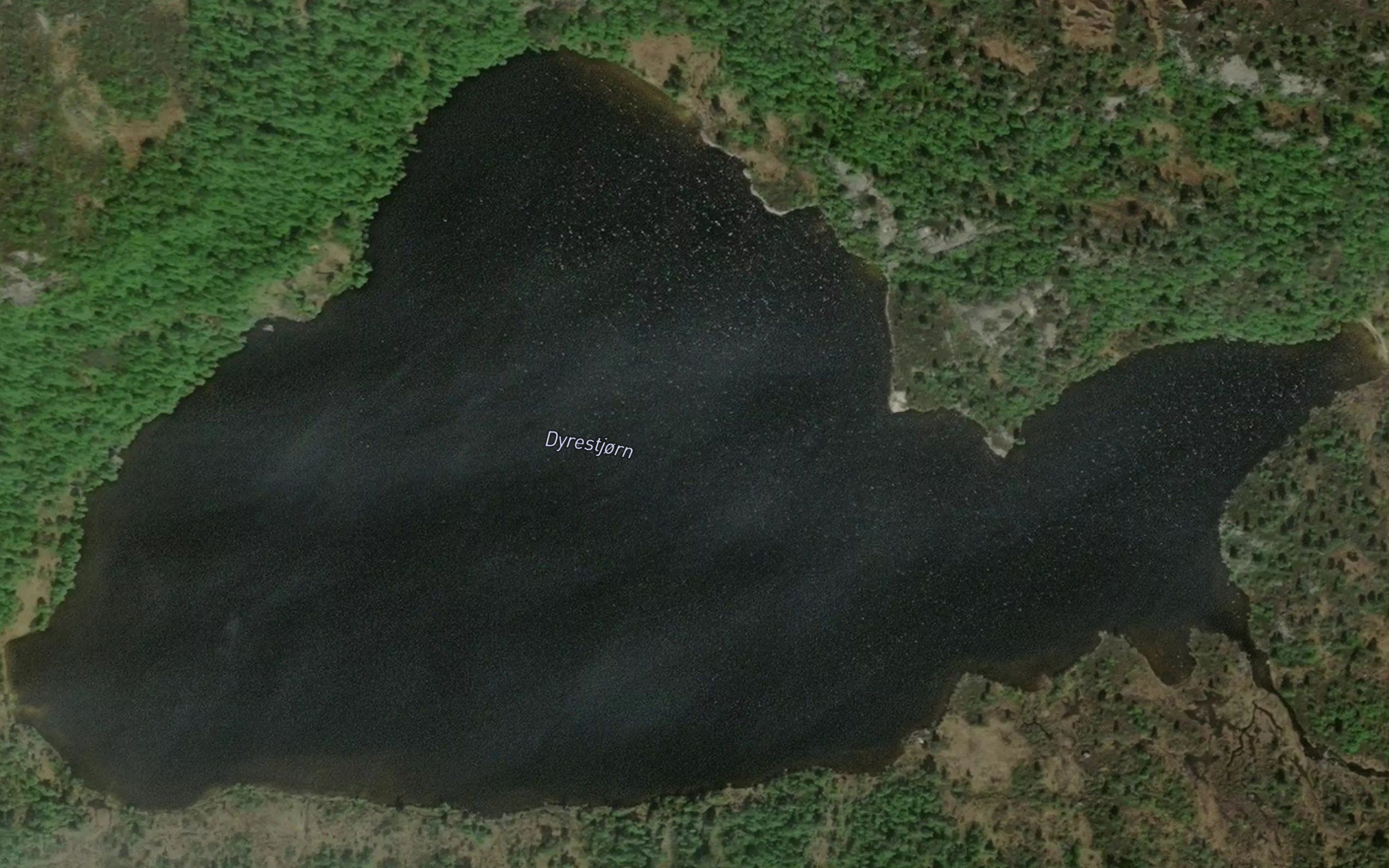 Dyrestjorn