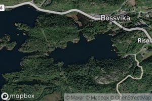 Bassviktjenna