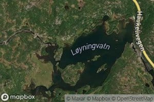 Loyningvatn