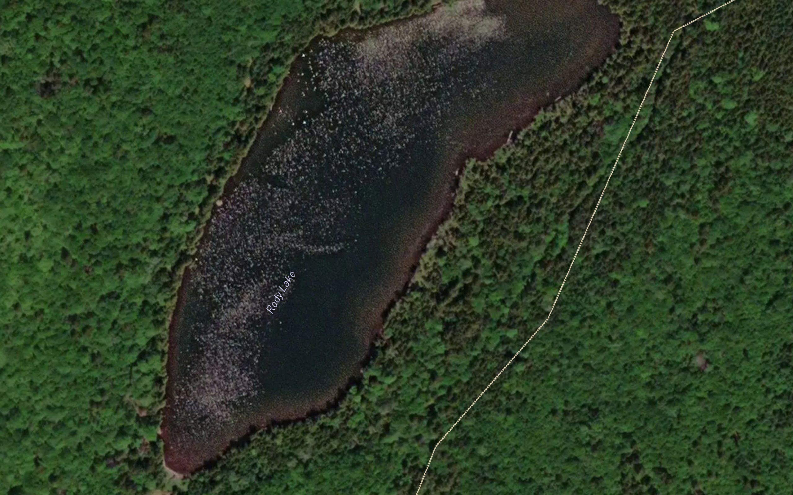 Rody Lake