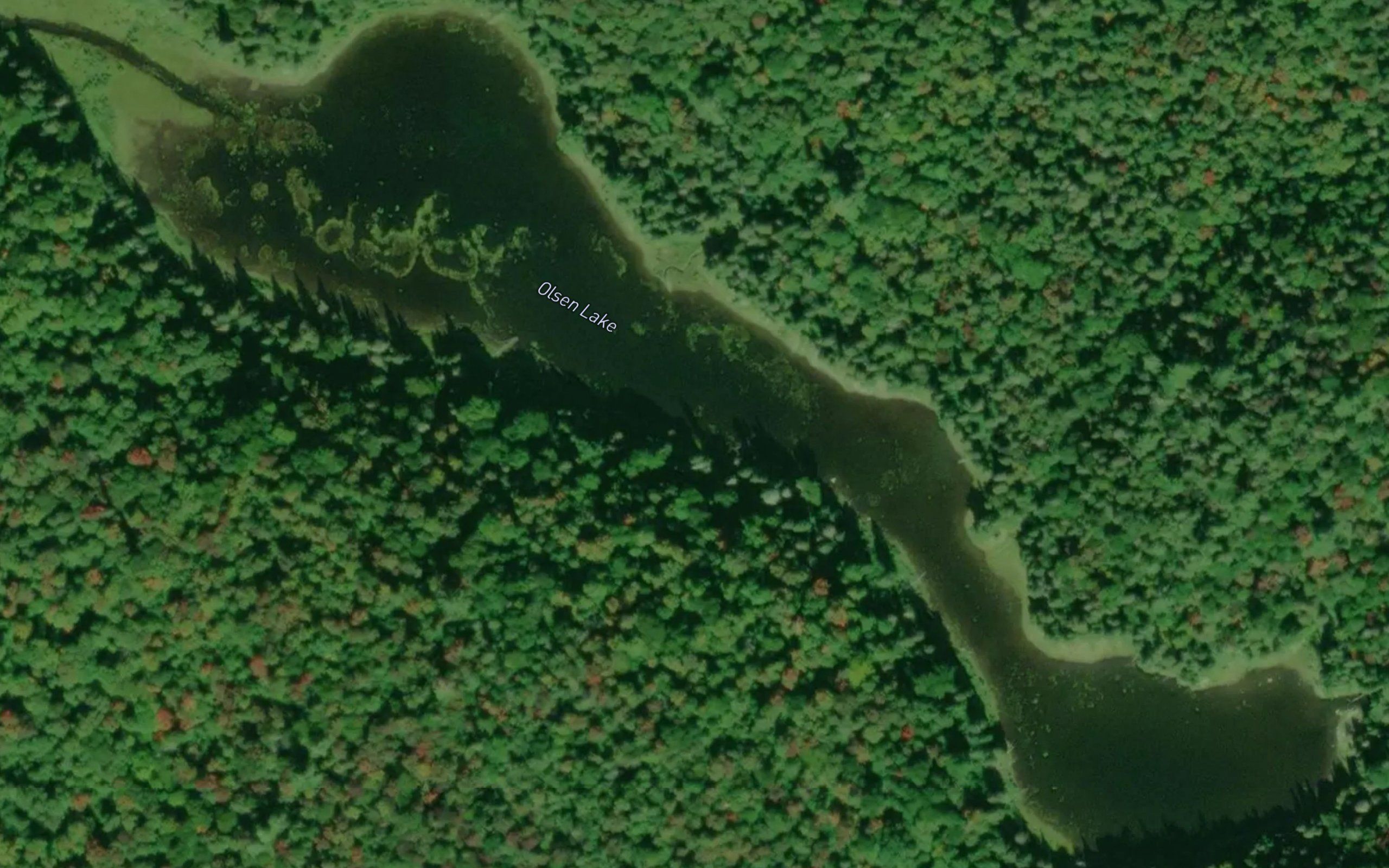 Olsen Lake