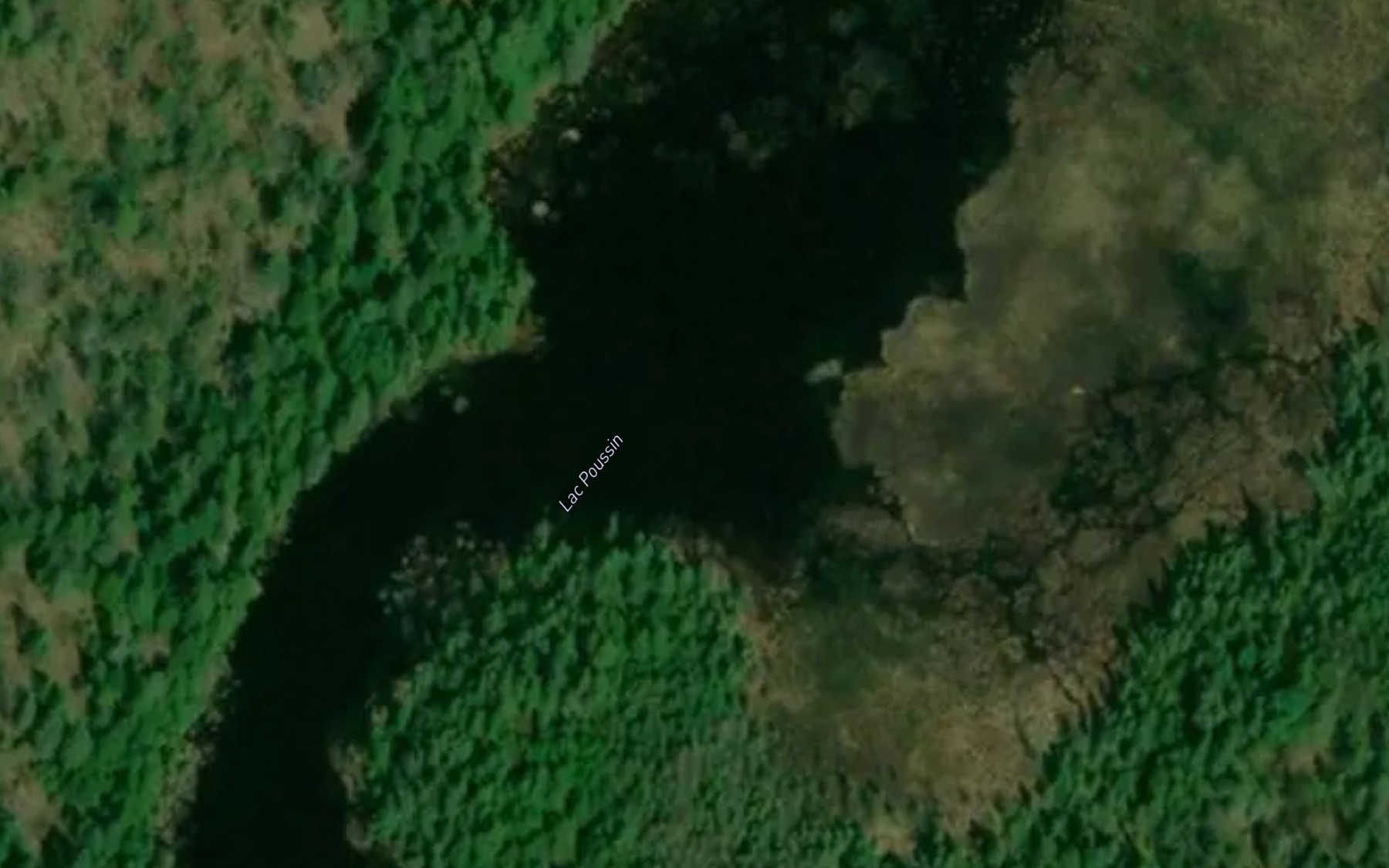 Satellite map of the Lac Poussin