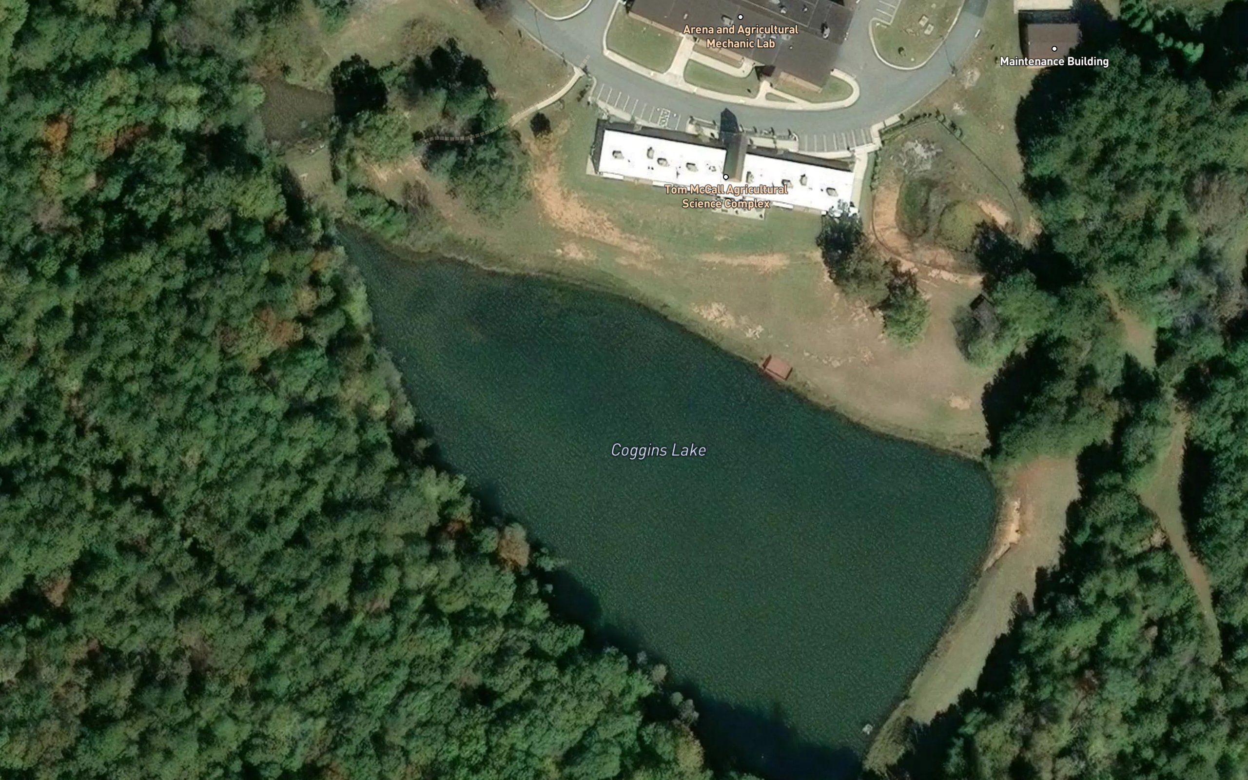 Coggins Lake