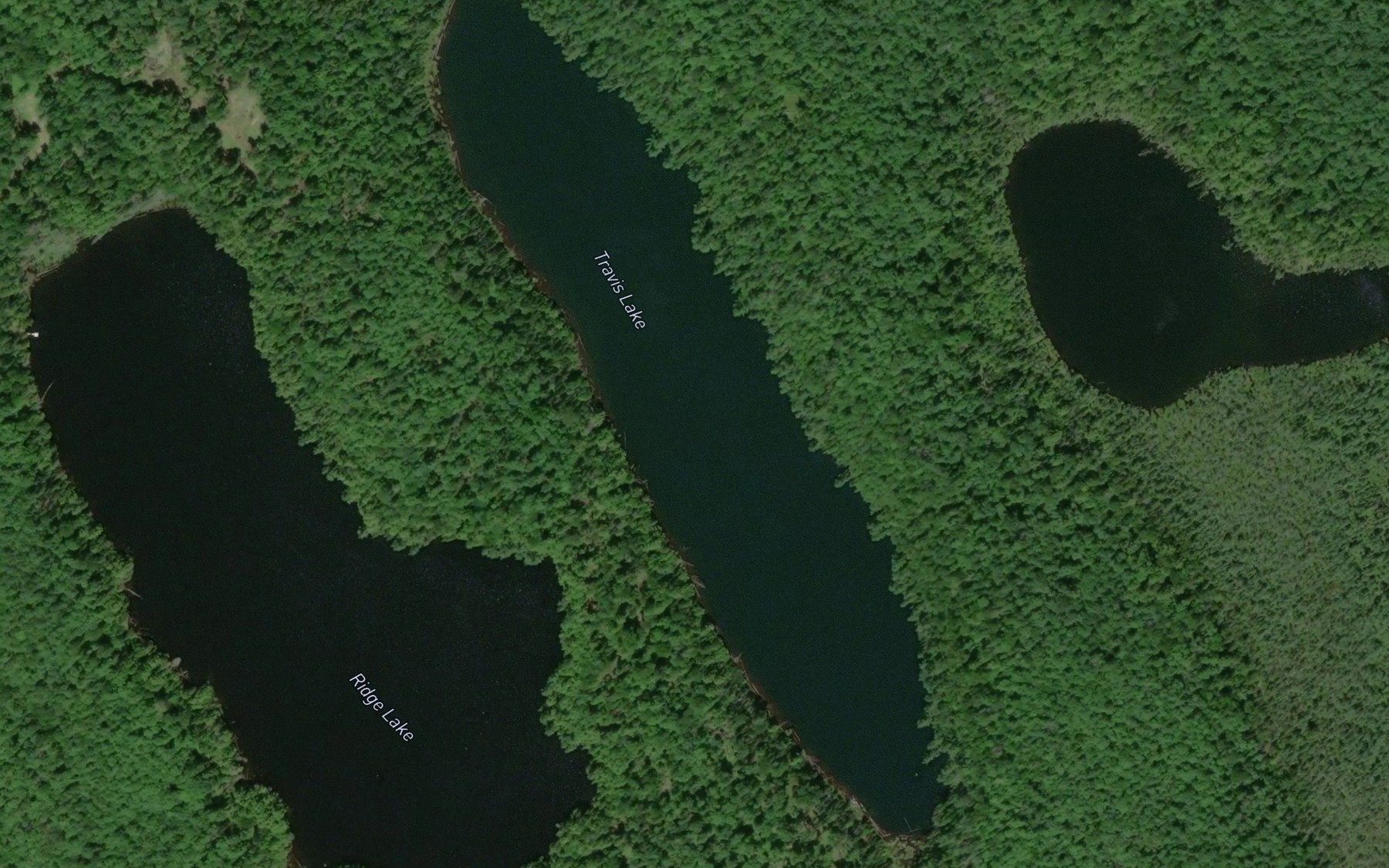 Satellite map of the Travis Lake