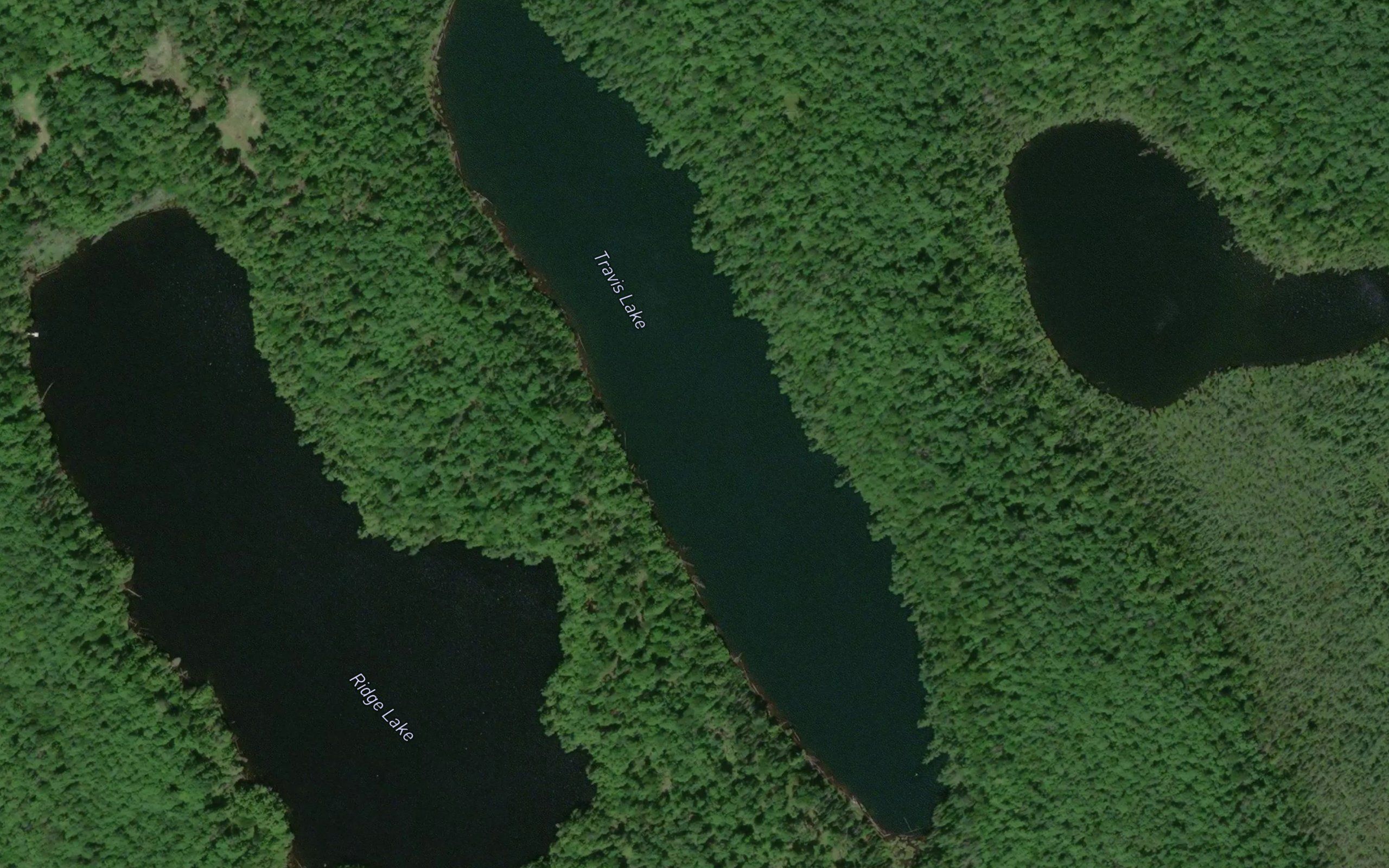 Travis Lake