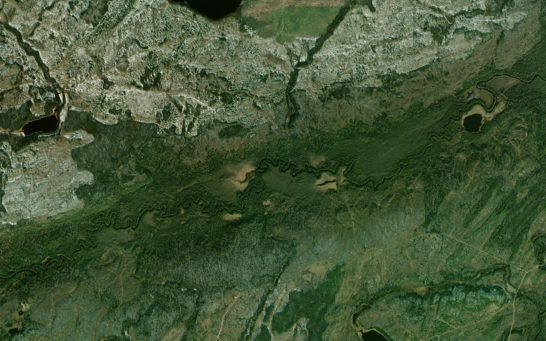 Satellite map of the Gene Creek