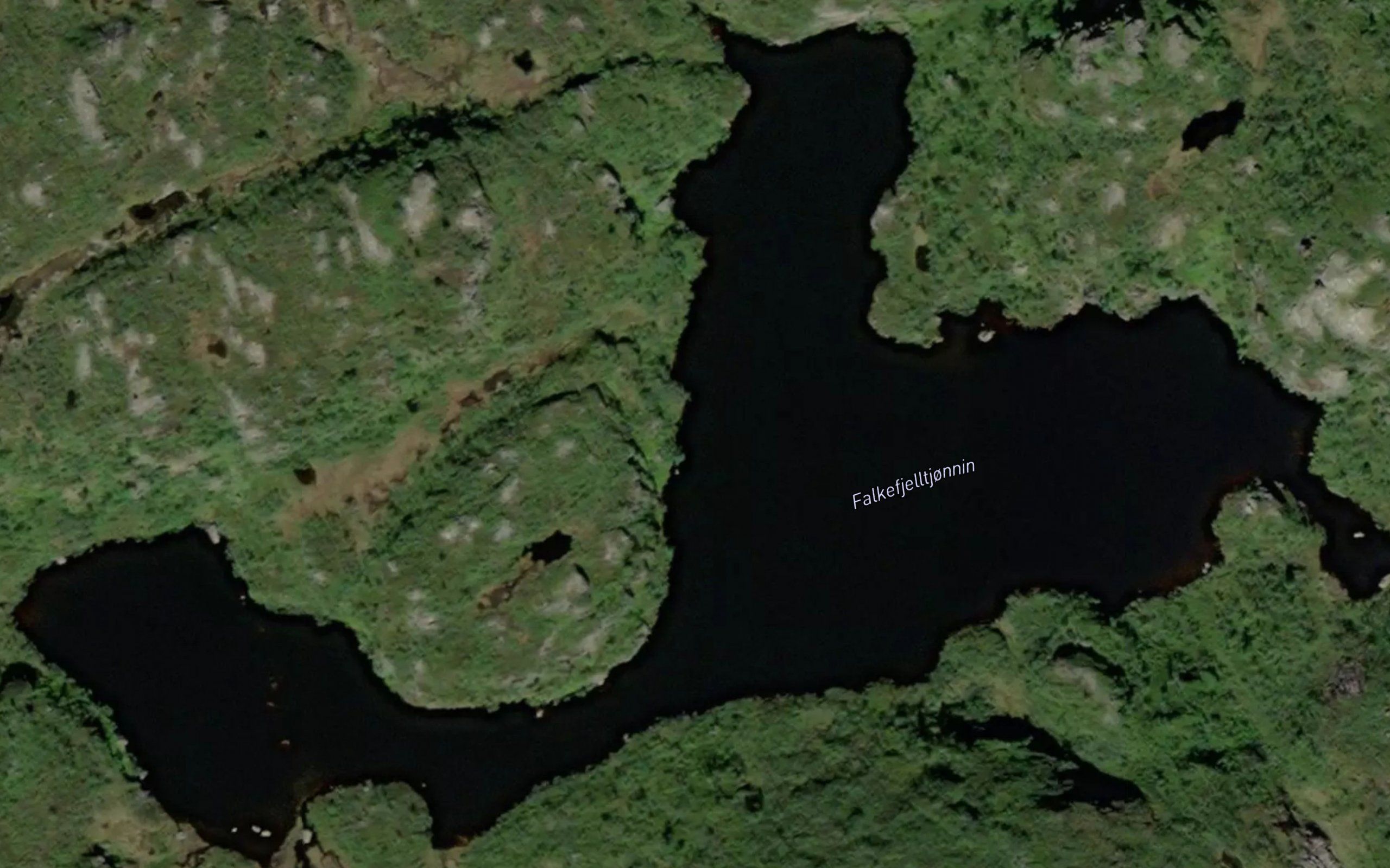 Falkefjelltjonnin