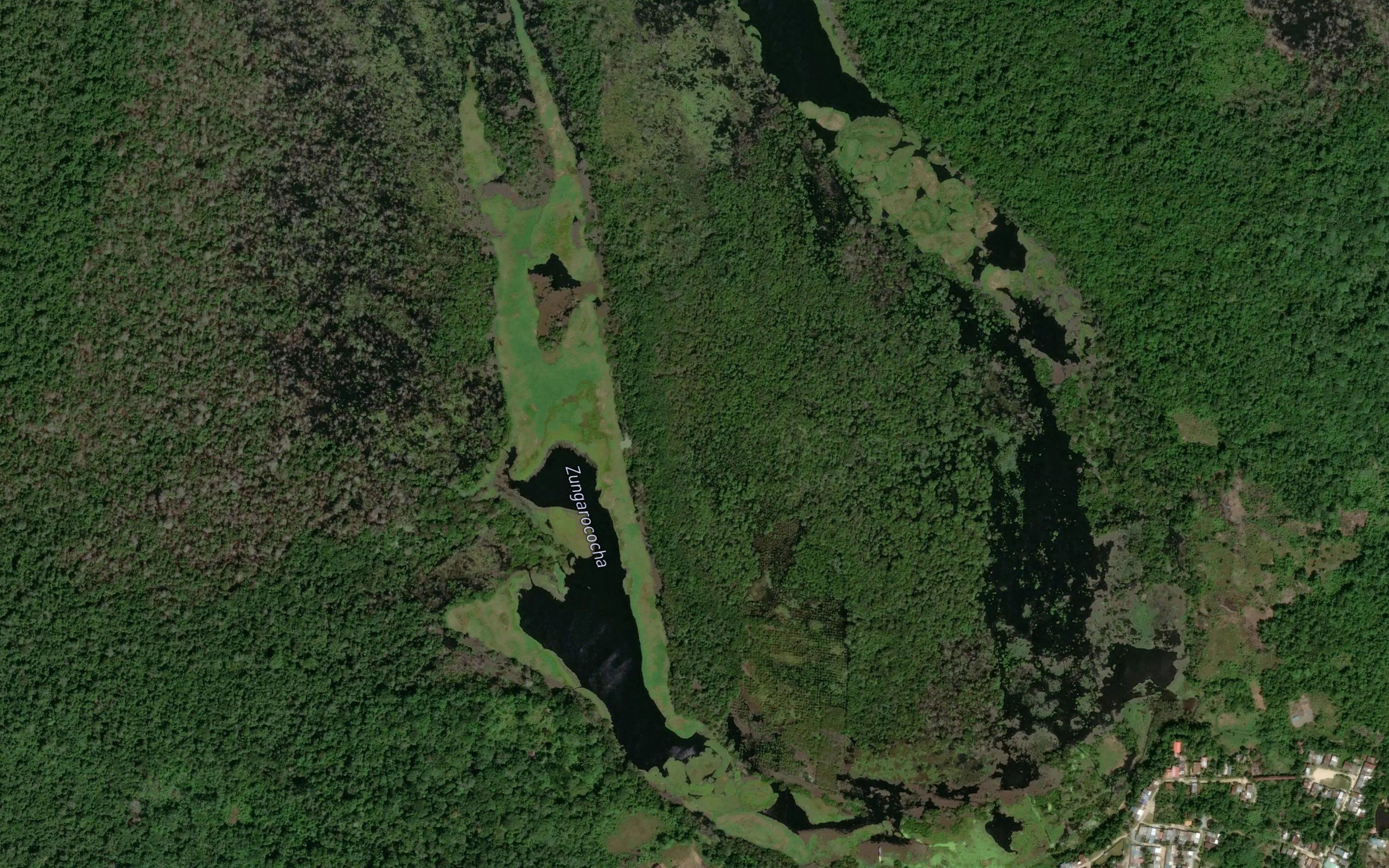 Laguna Zungaro Cocha