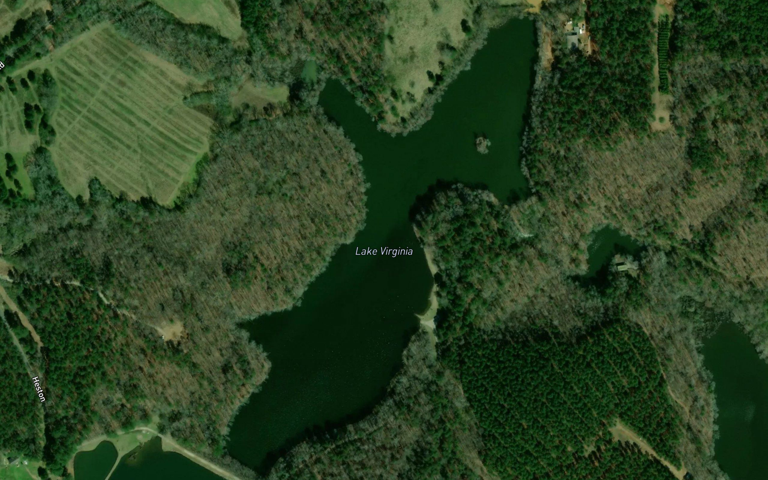Lake Virginia