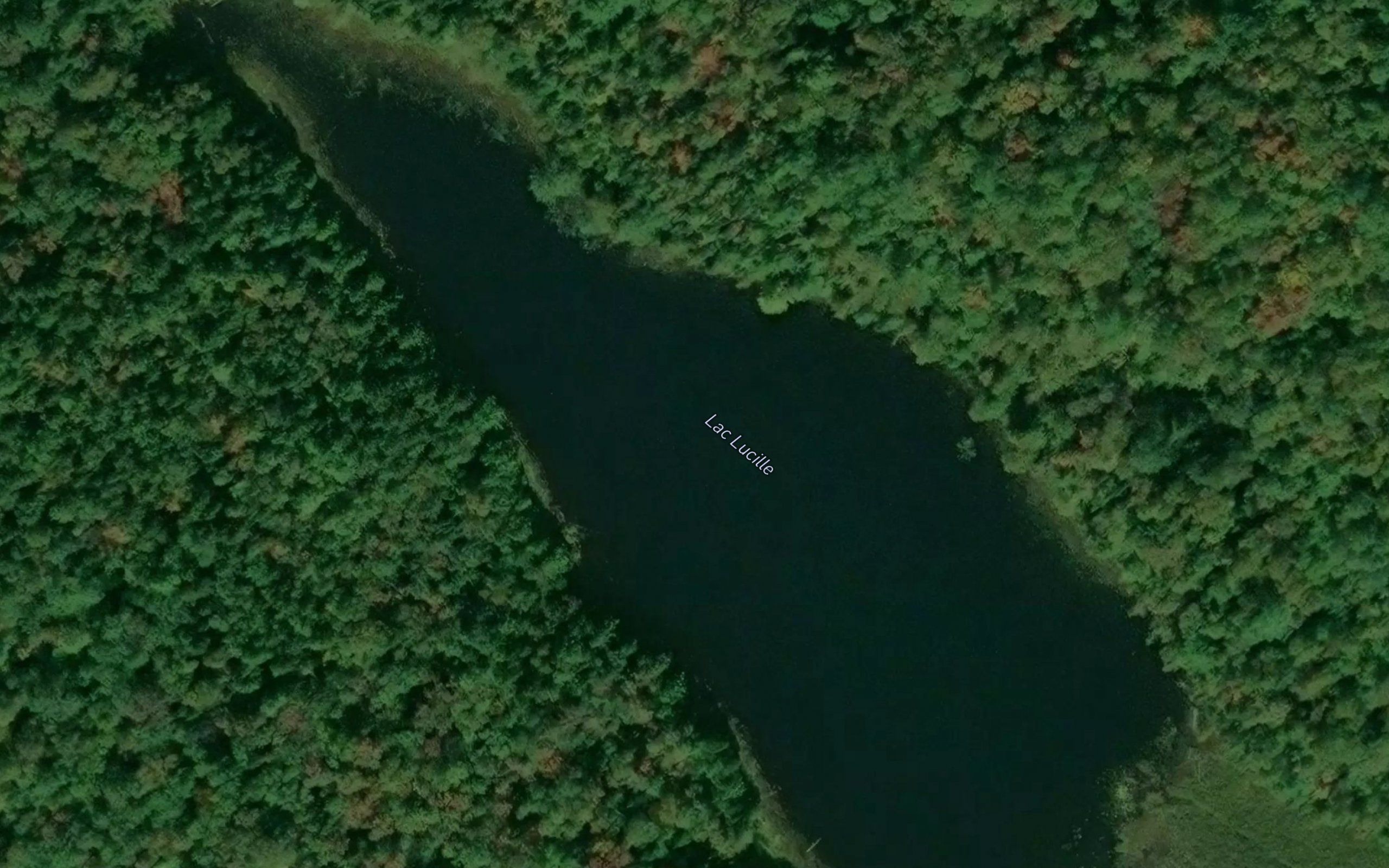Lac Lucille