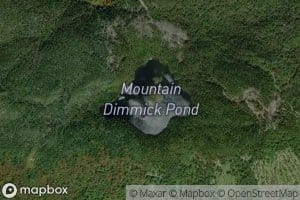 Mountain Dimmick Pond