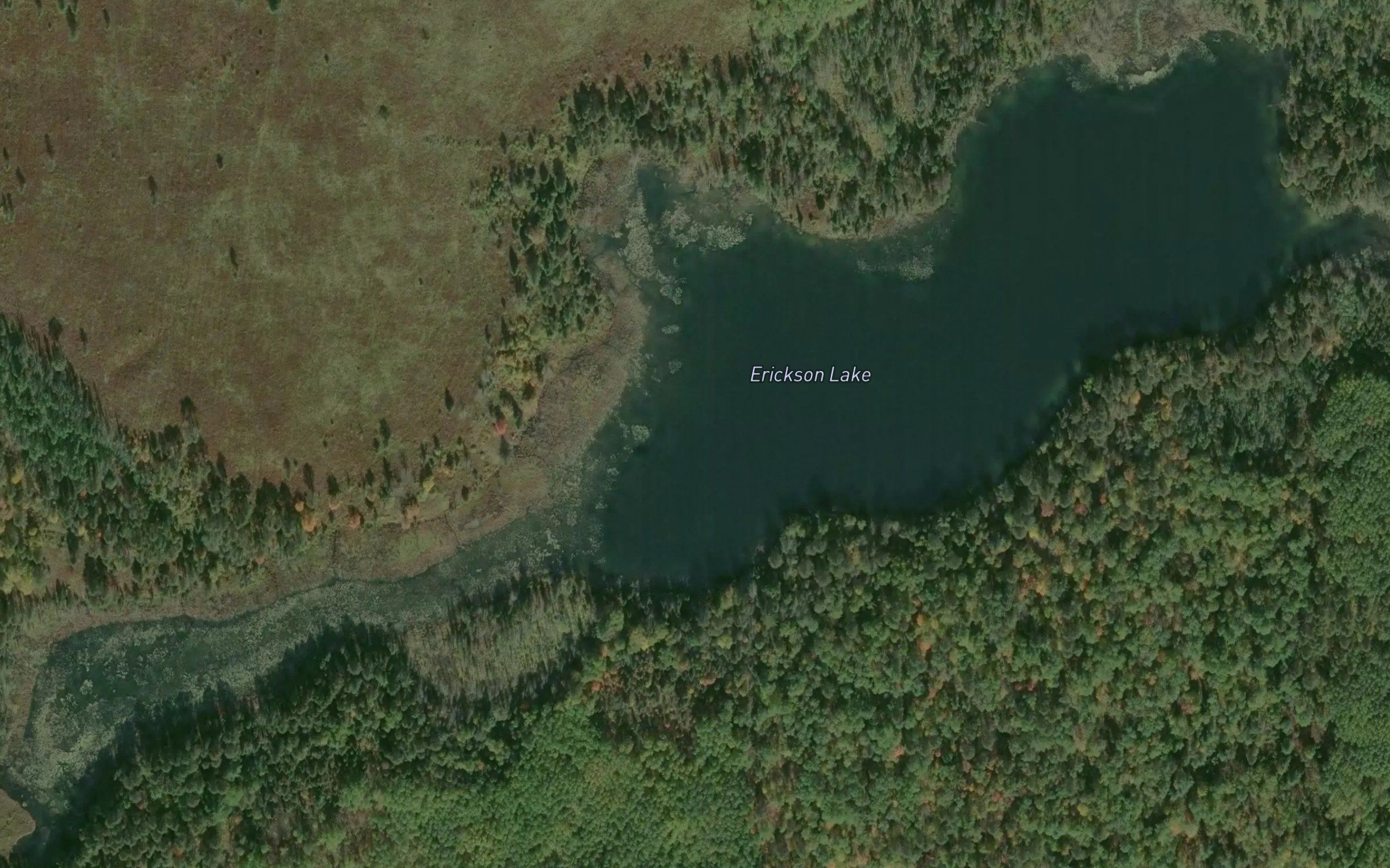 Erickson Lake