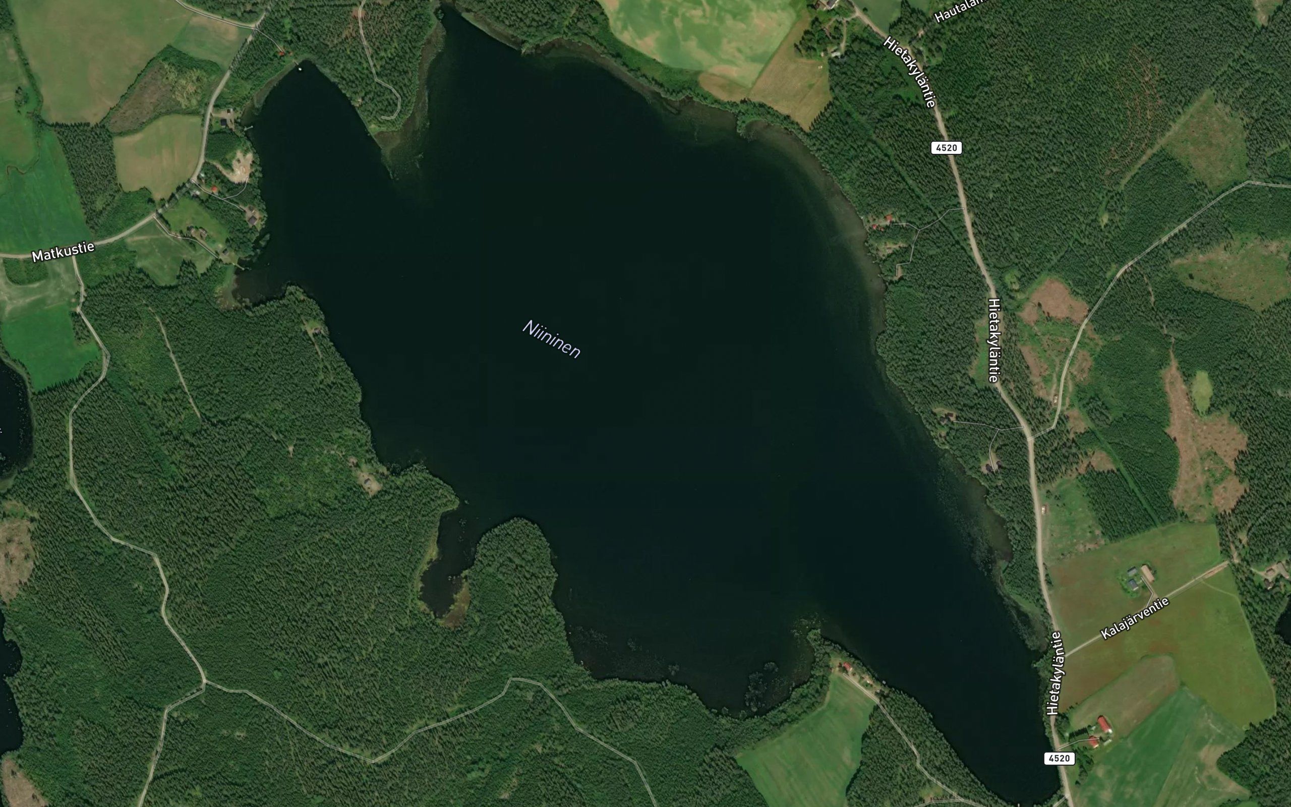Niininen