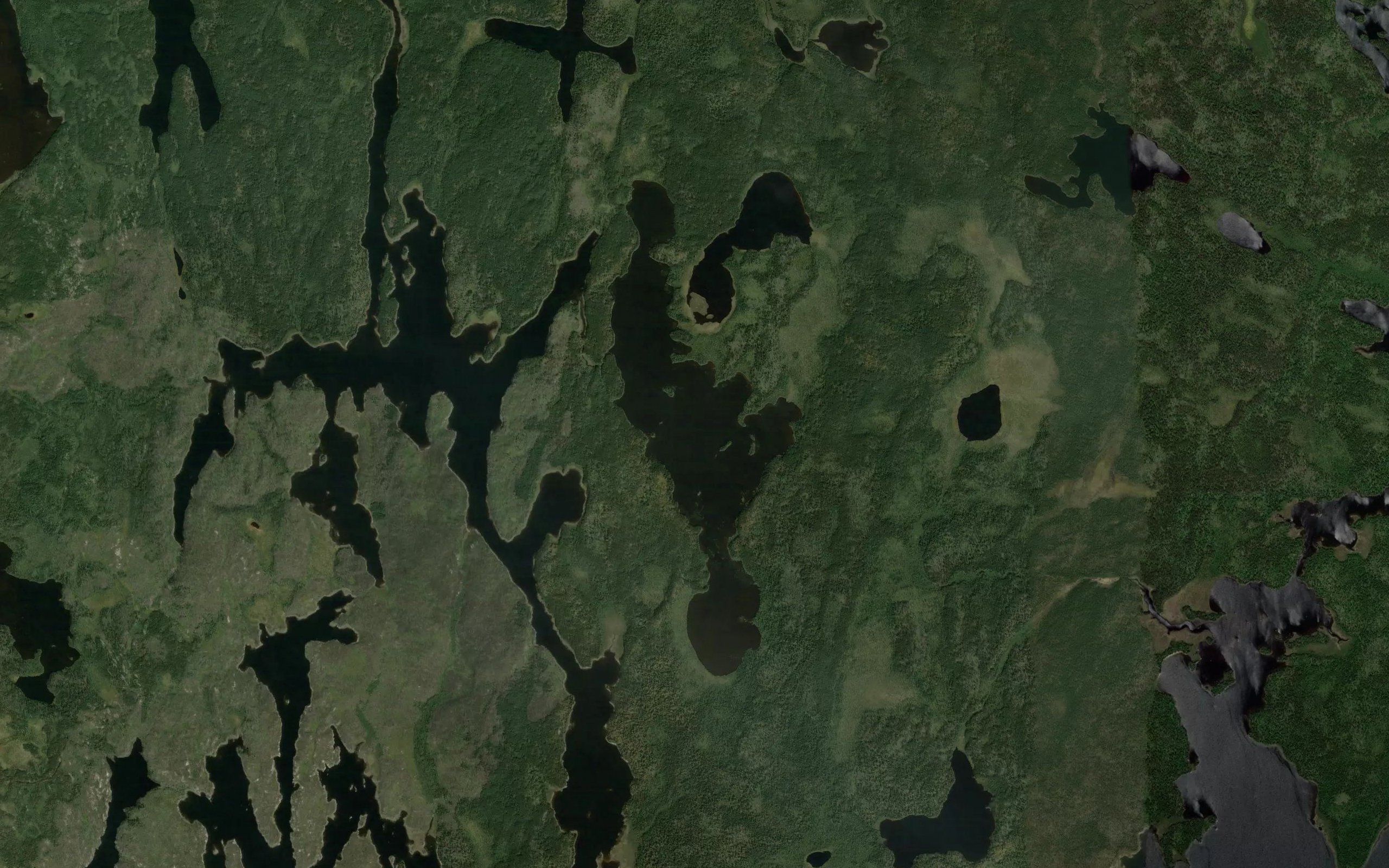 Boat Lake