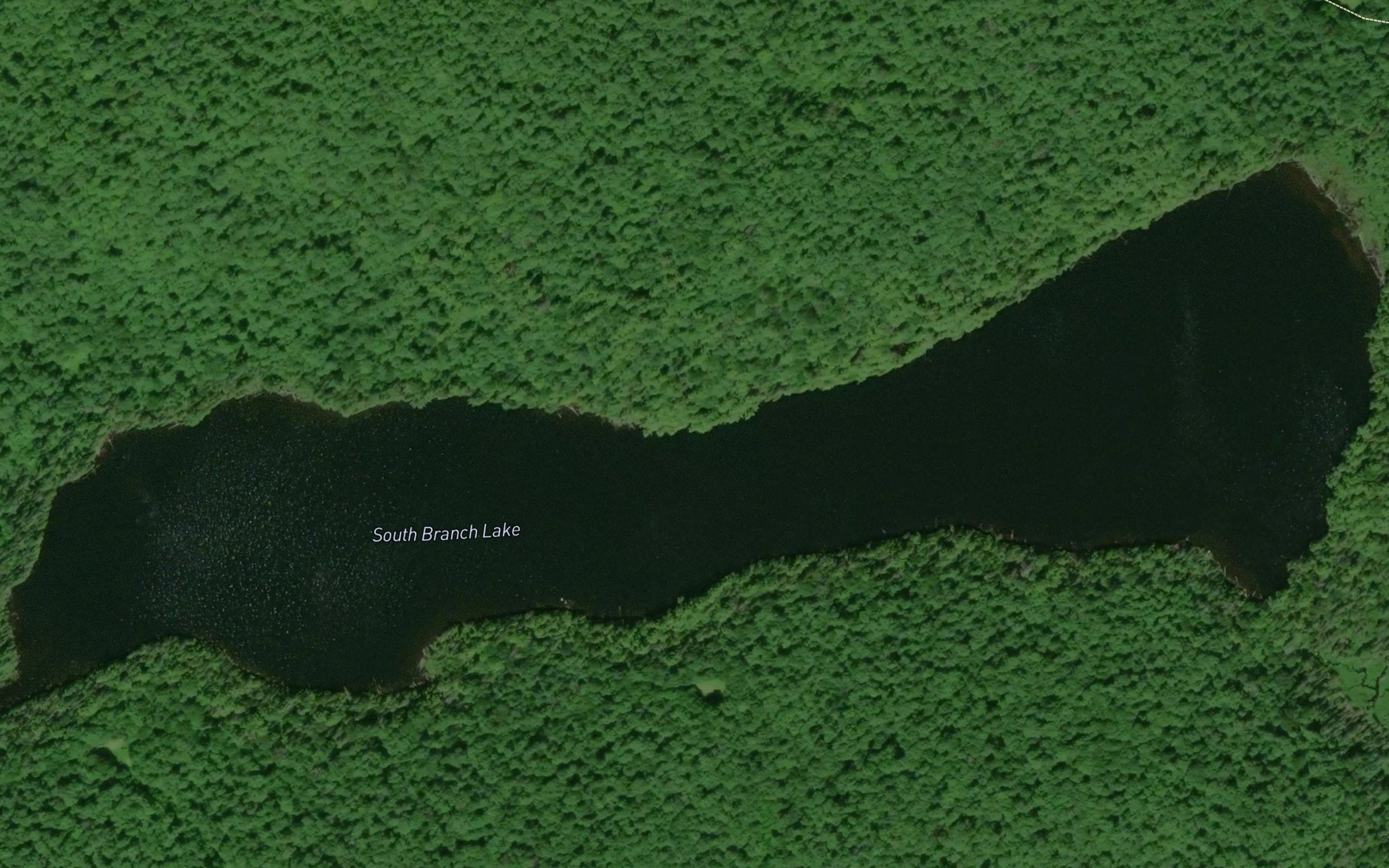 Satellite map of the South Branch Lake