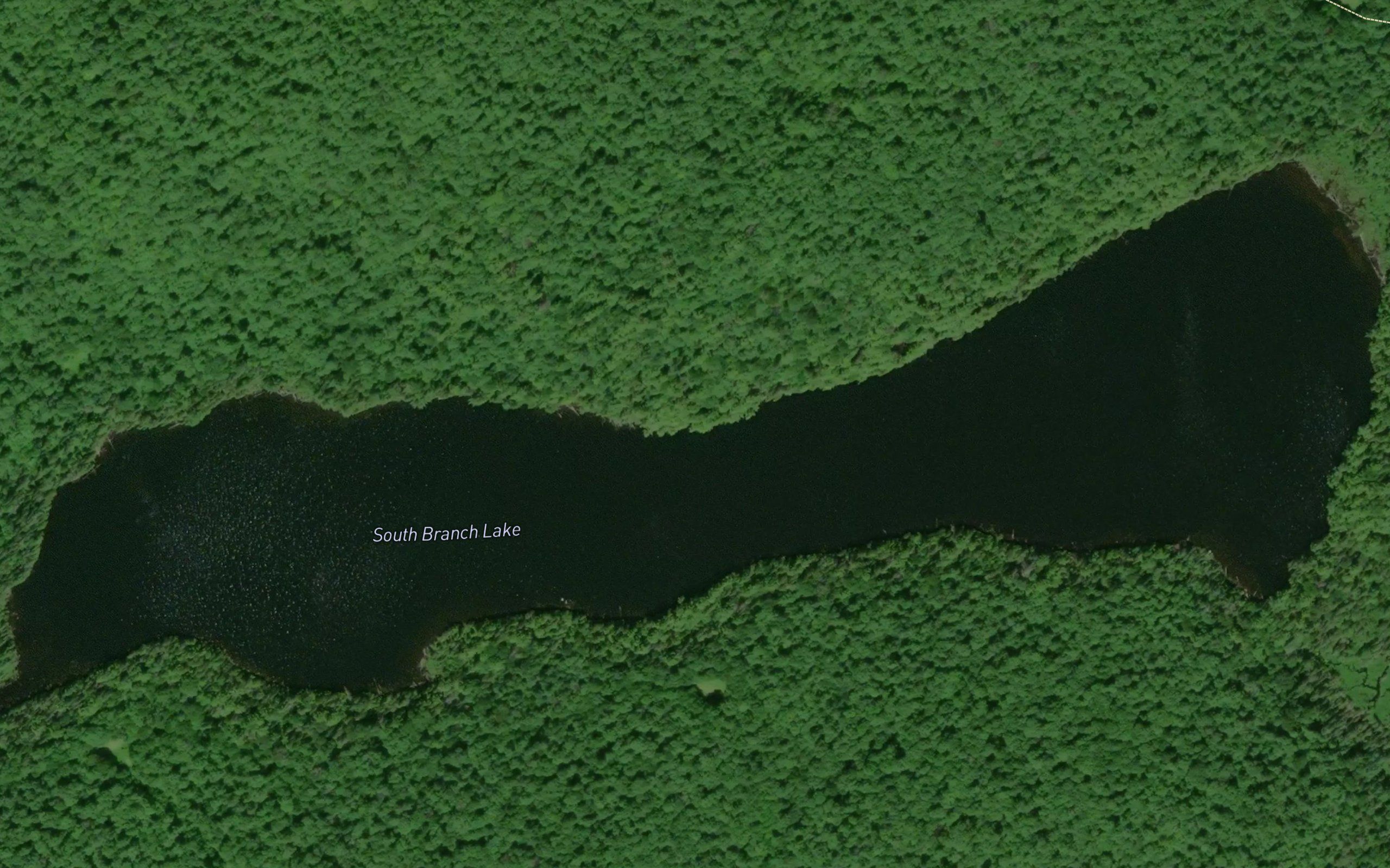 South Branch Lake