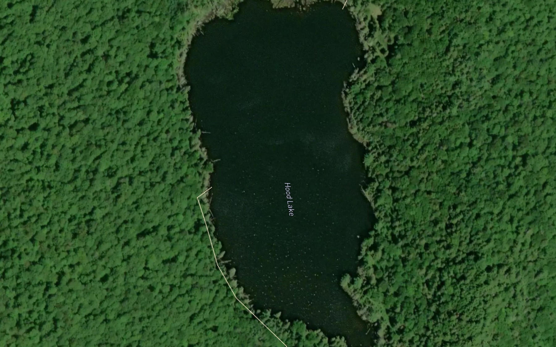 Satellite map of the Hood Lake
