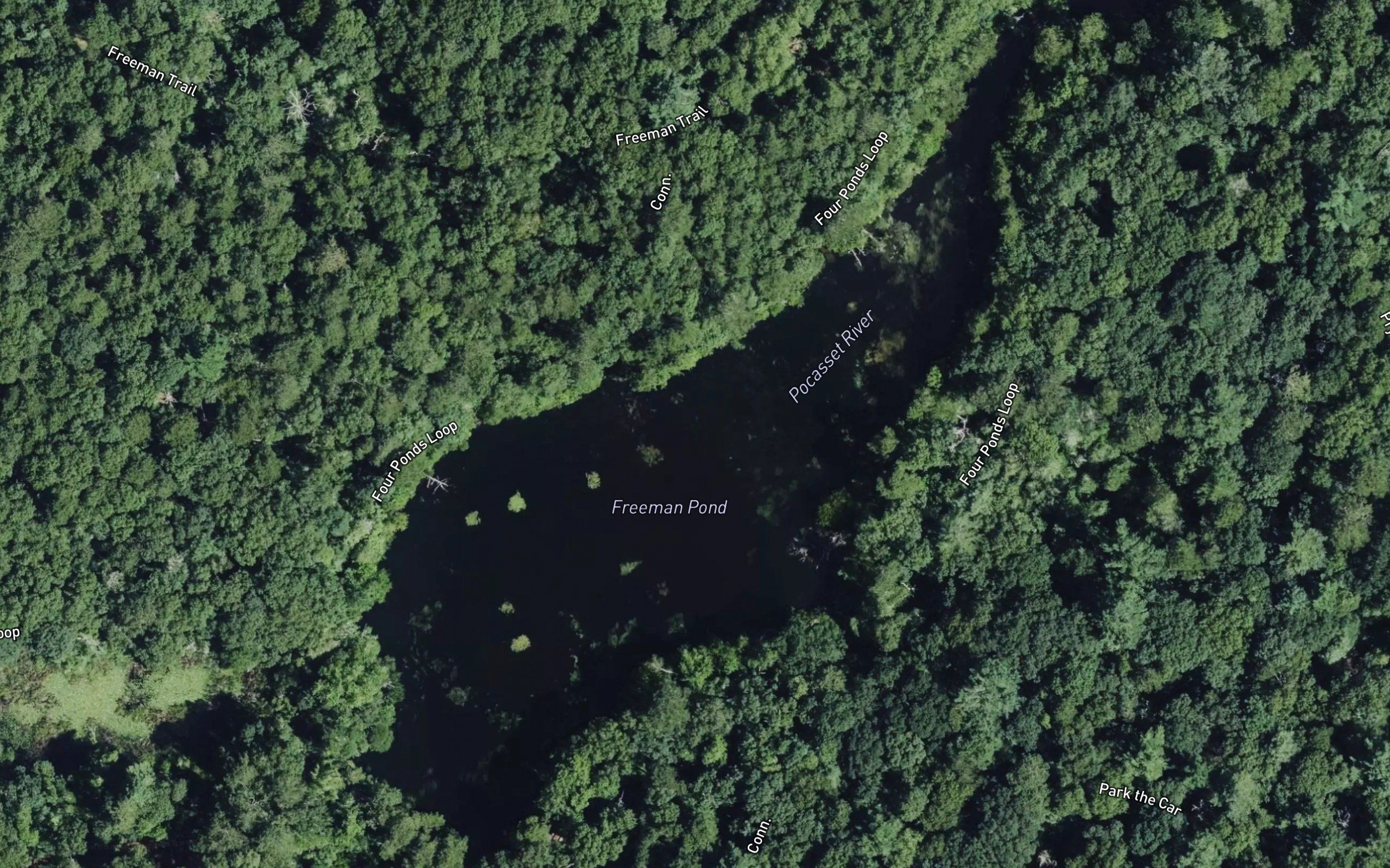 Freeman Pond